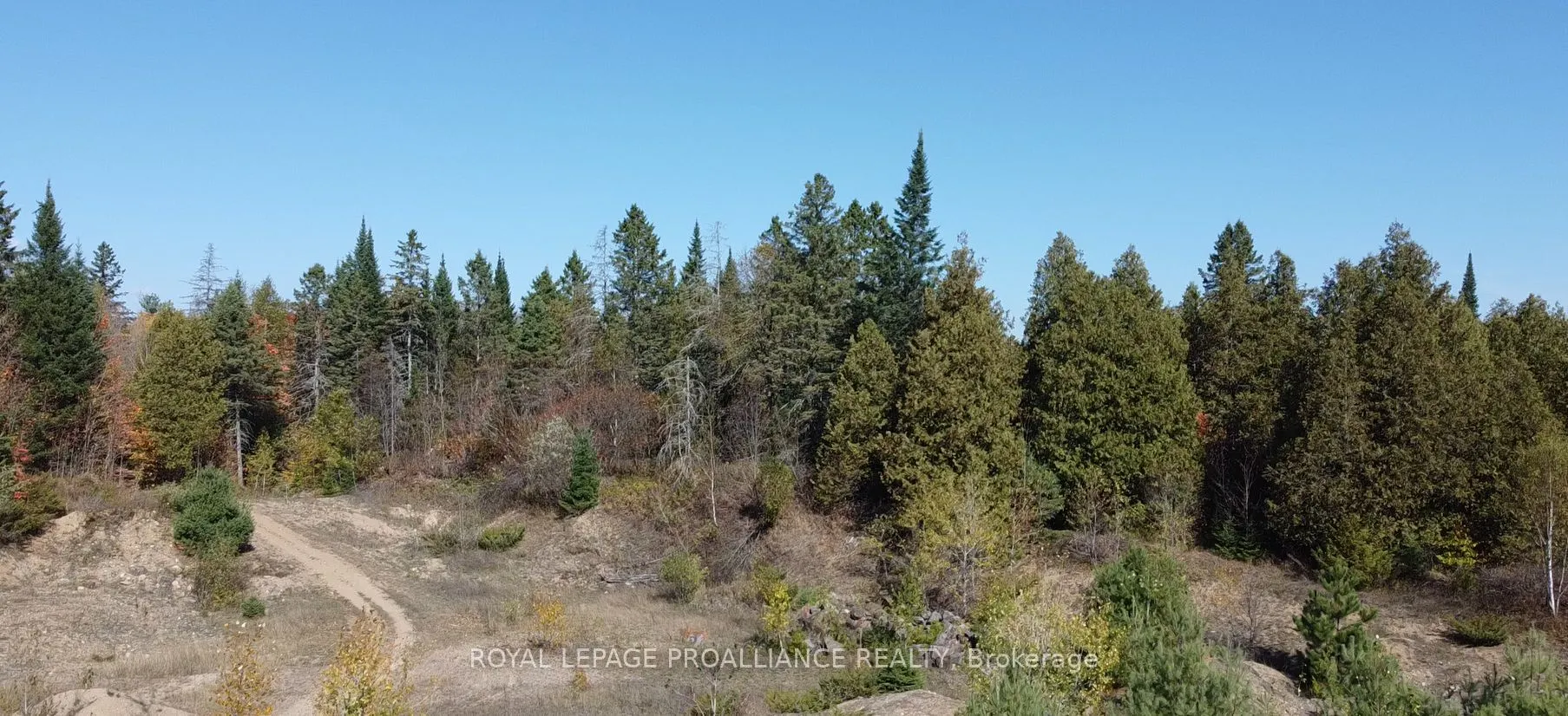 6107 Buckshot Lake Road