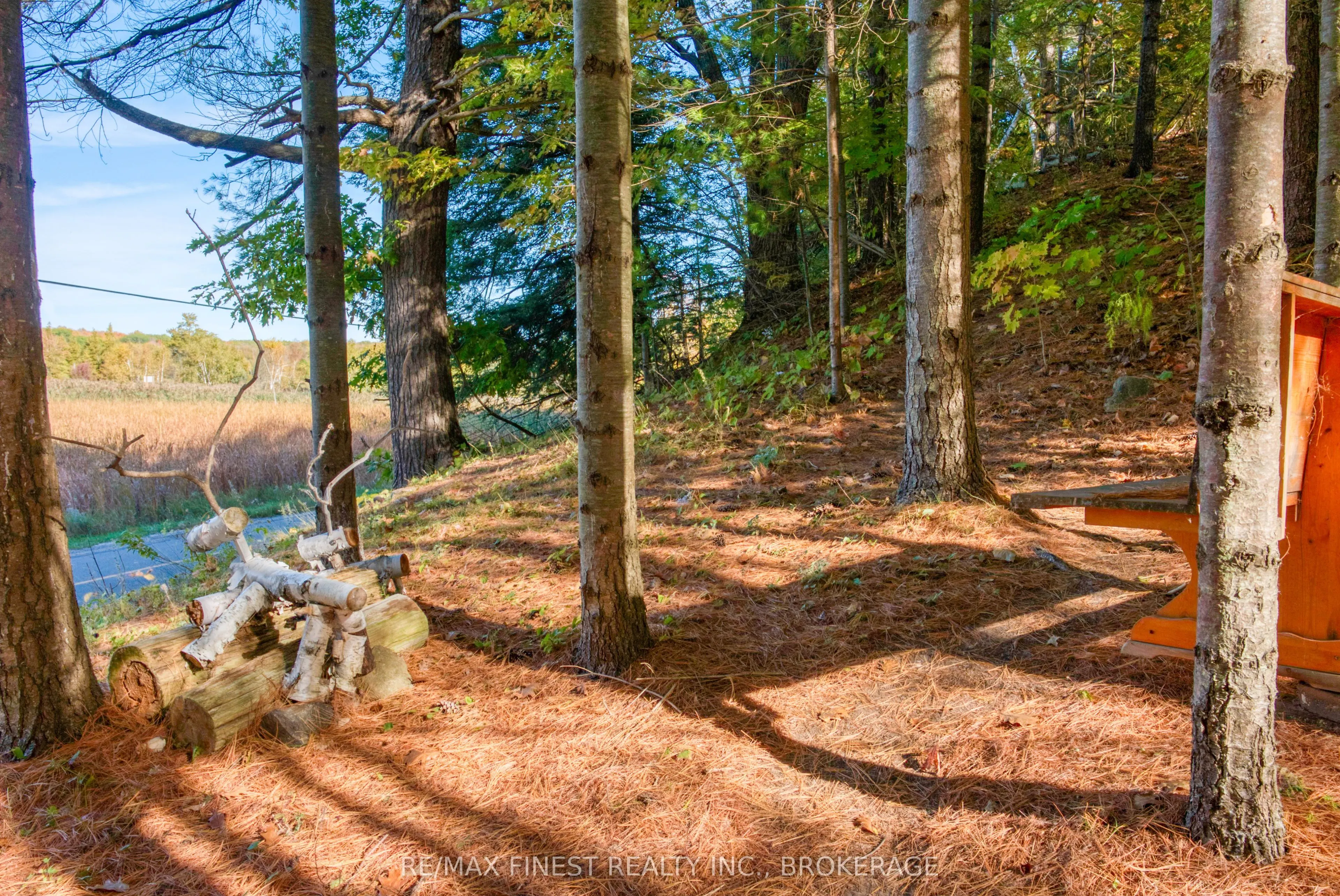 10874 Canoe Lake Road