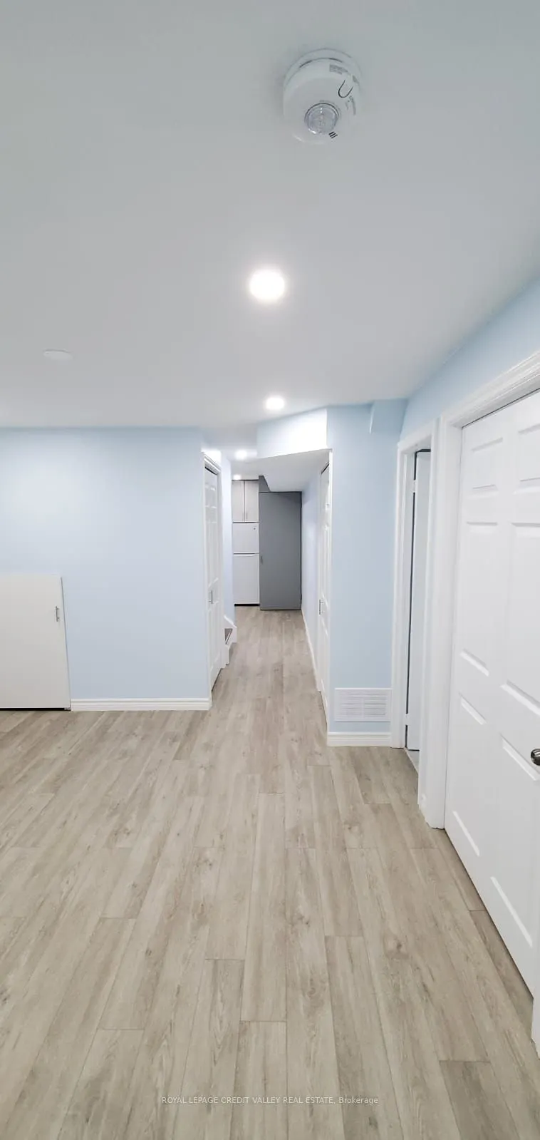 53 Carrington (Bsmt) Place