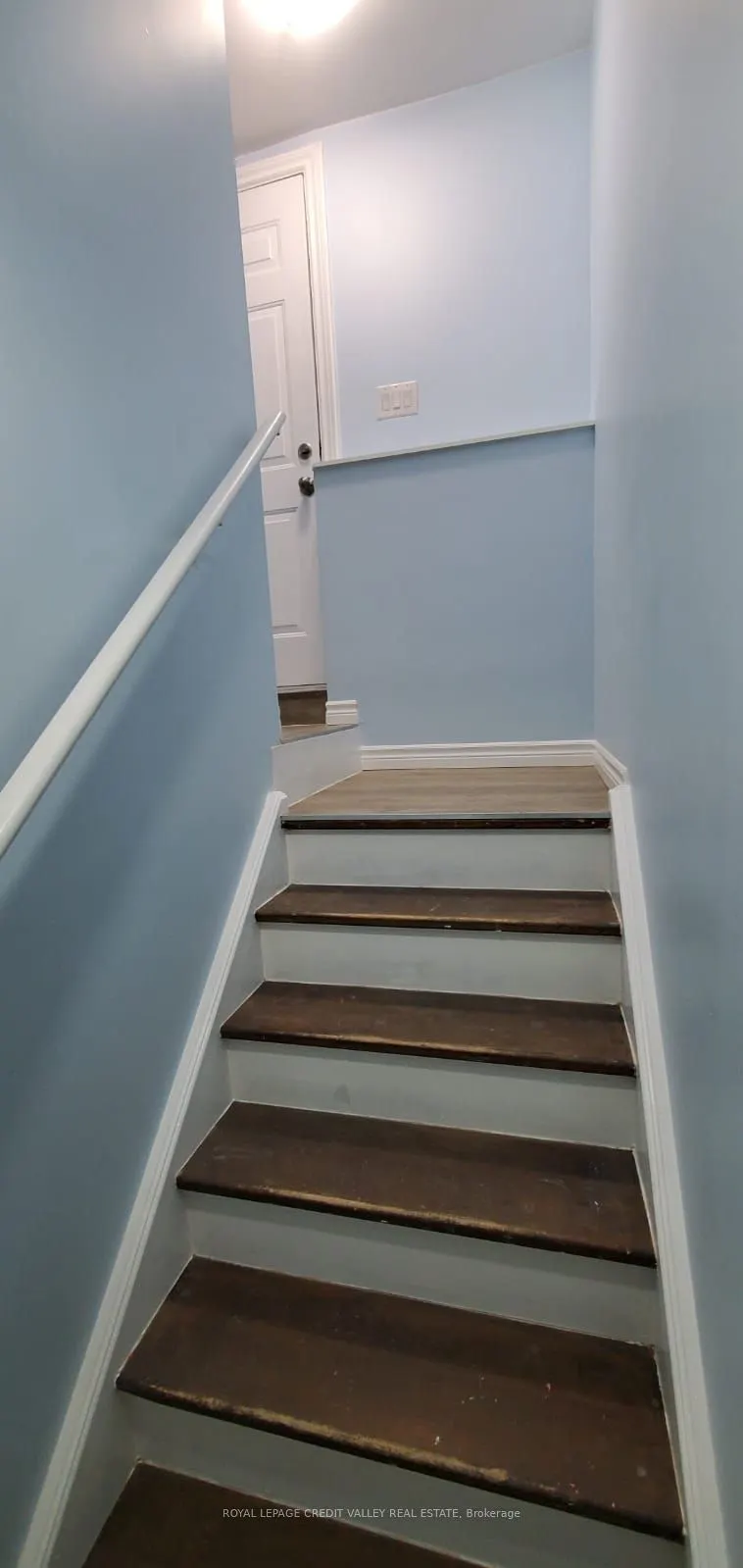 53 Carrington (Bsmt) Place