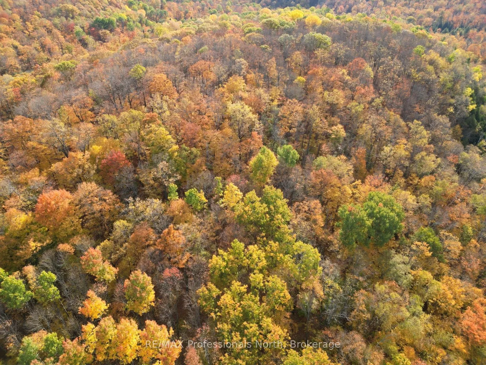 PT LT 12-13 Con 2 Baptiste Lake WAO