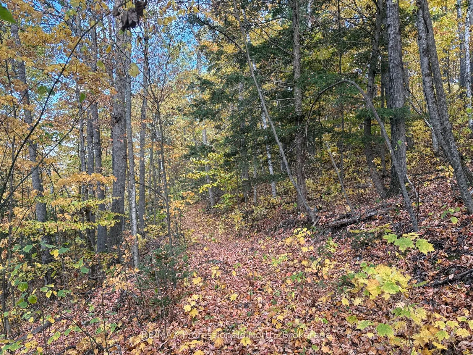 PT LT 12-13 Con 2 Baptiste Lake WAO