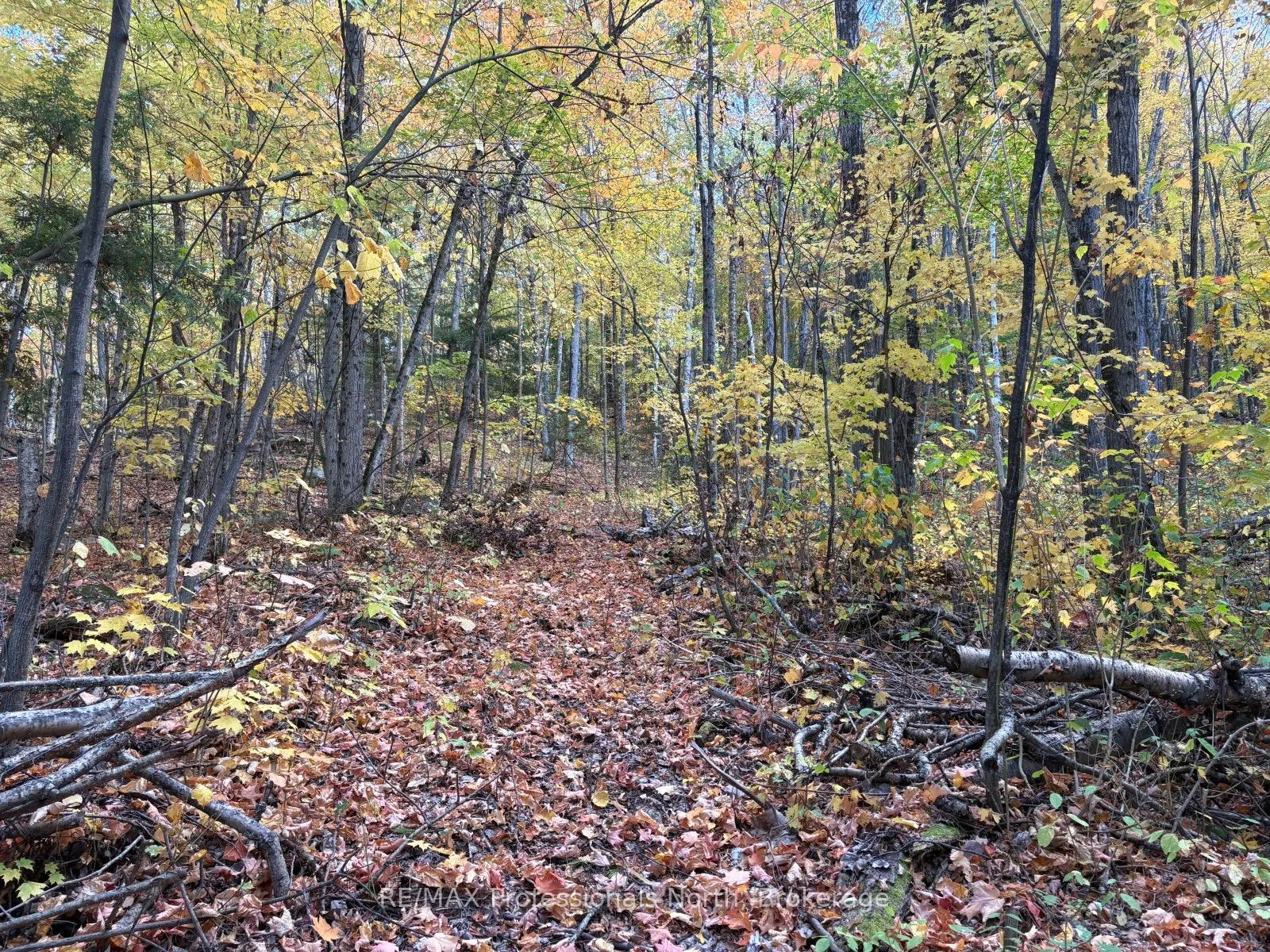 PT LT 12-13 Con 2 Baptiste Lake WAO