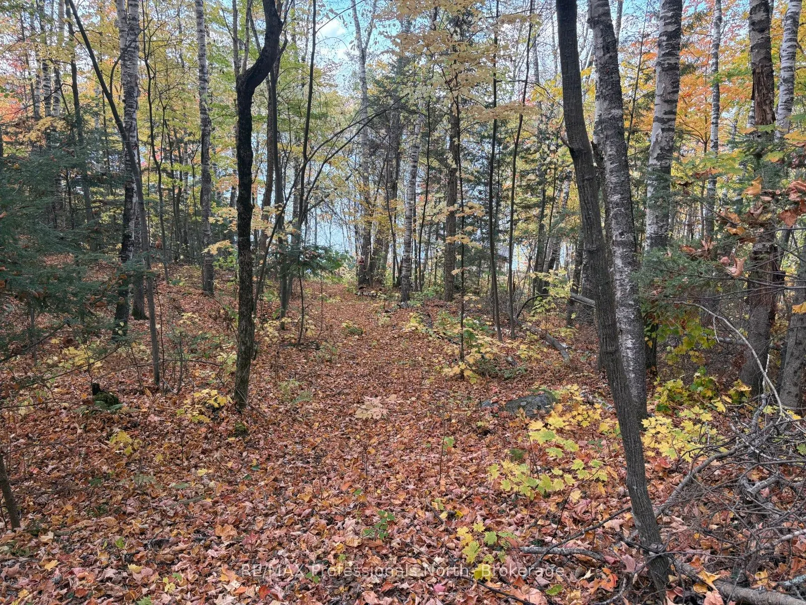 PT LT 12-13 Con 2 Baptiste Lake WAO