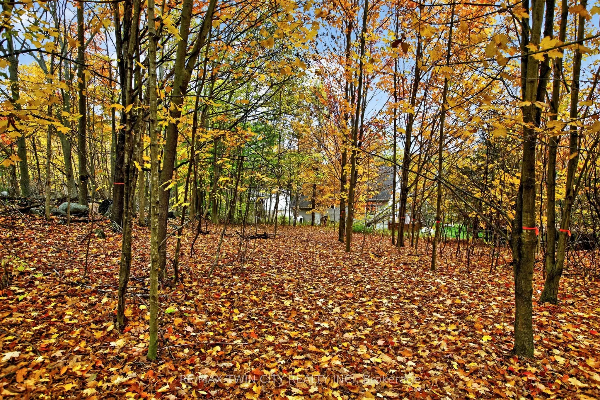 152B Wannamaker Road