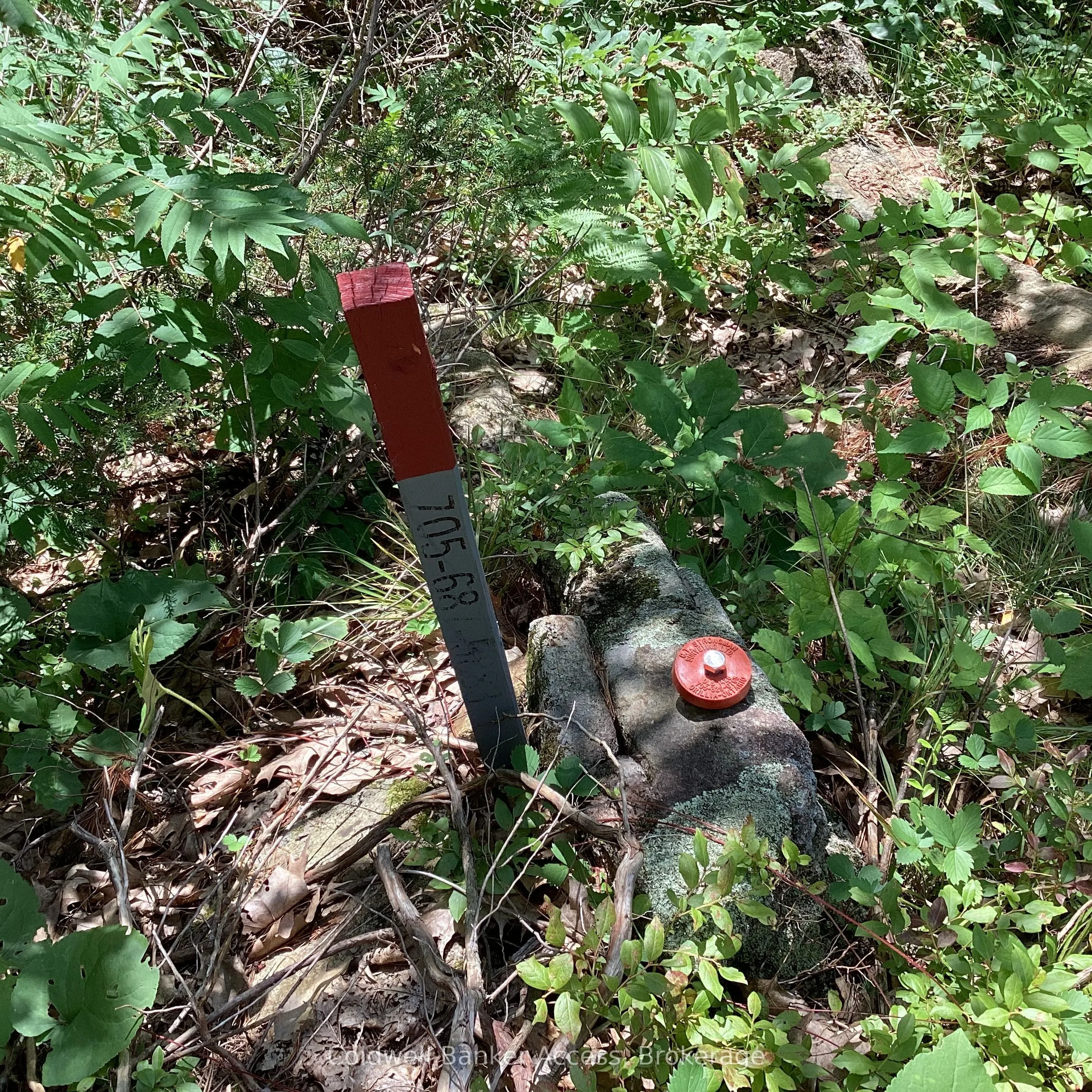 1029 Sunset Boulevard