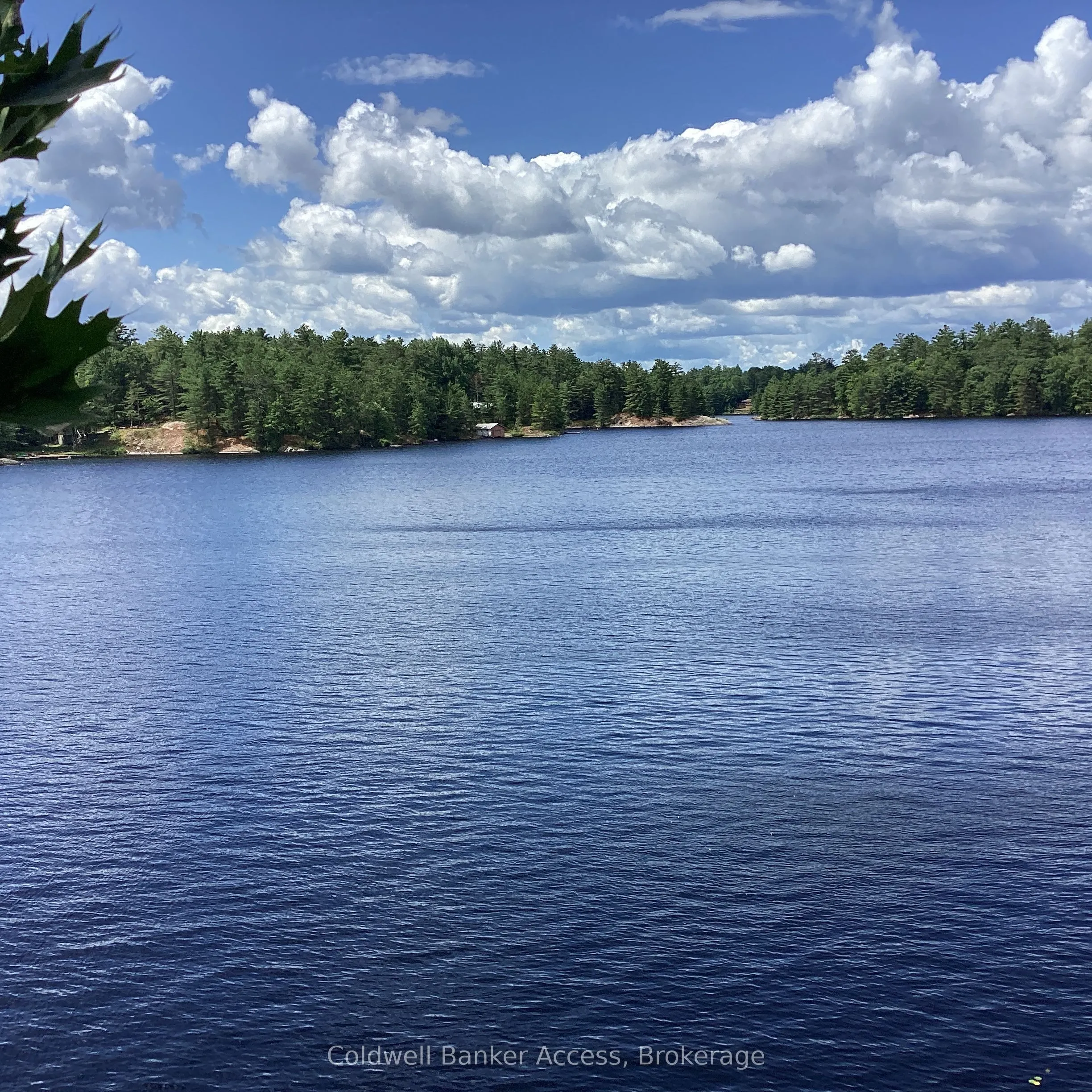 1029 Sunset Boulevard