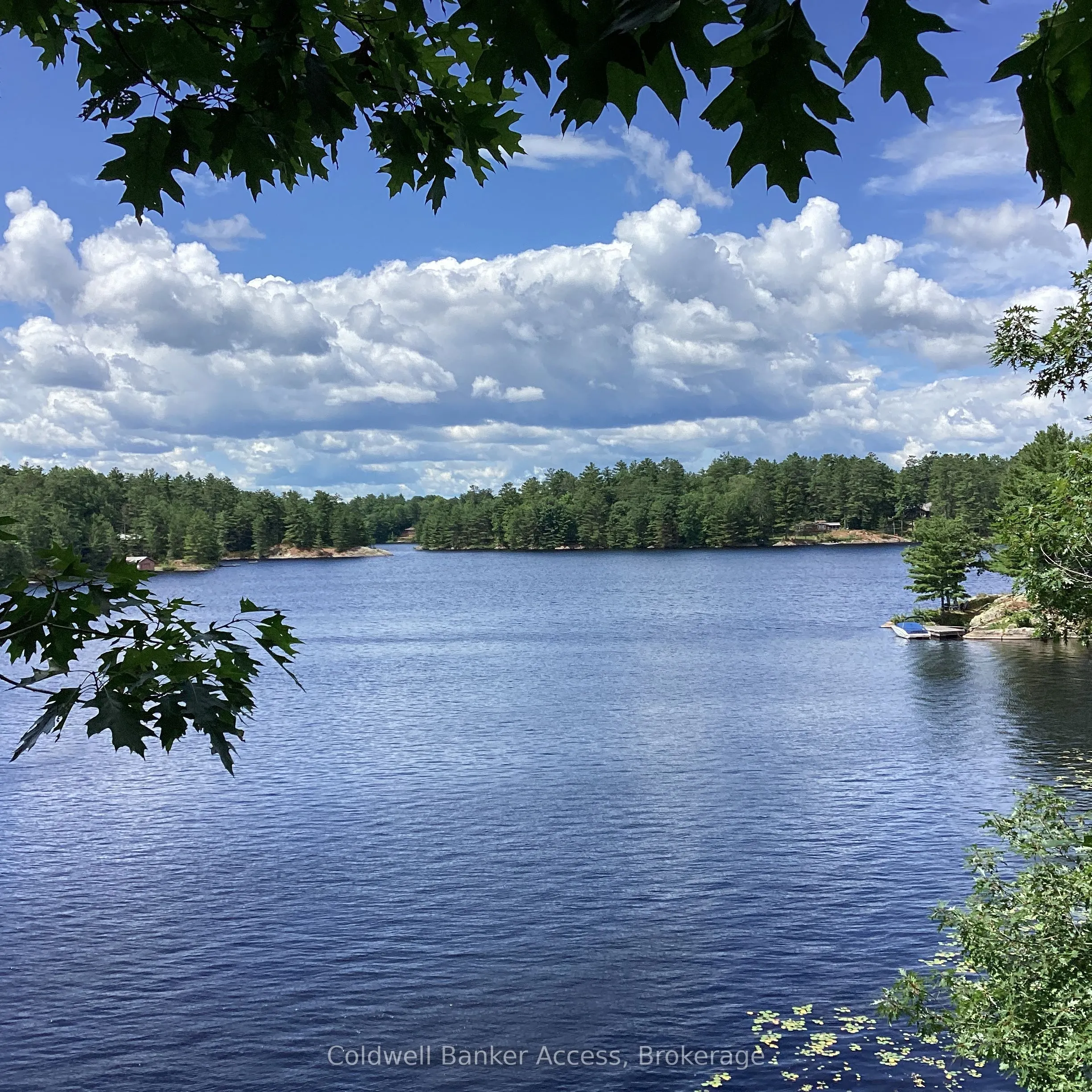 1029 Sunset Boulevard