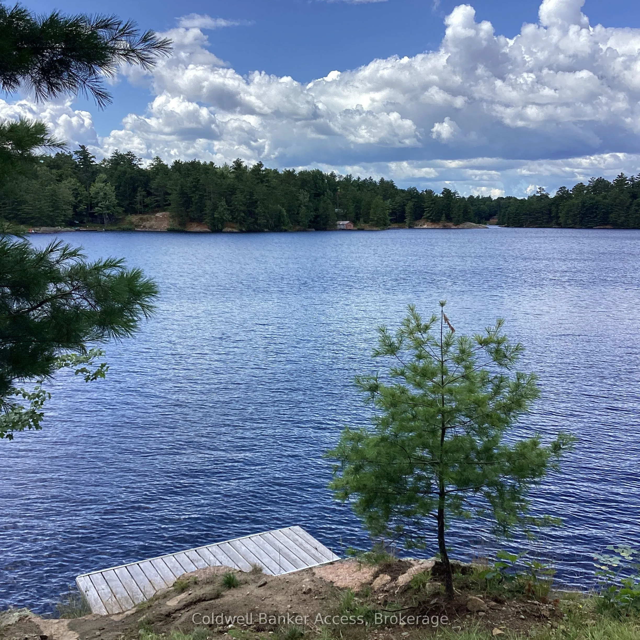 1029 Sunset Boulevard