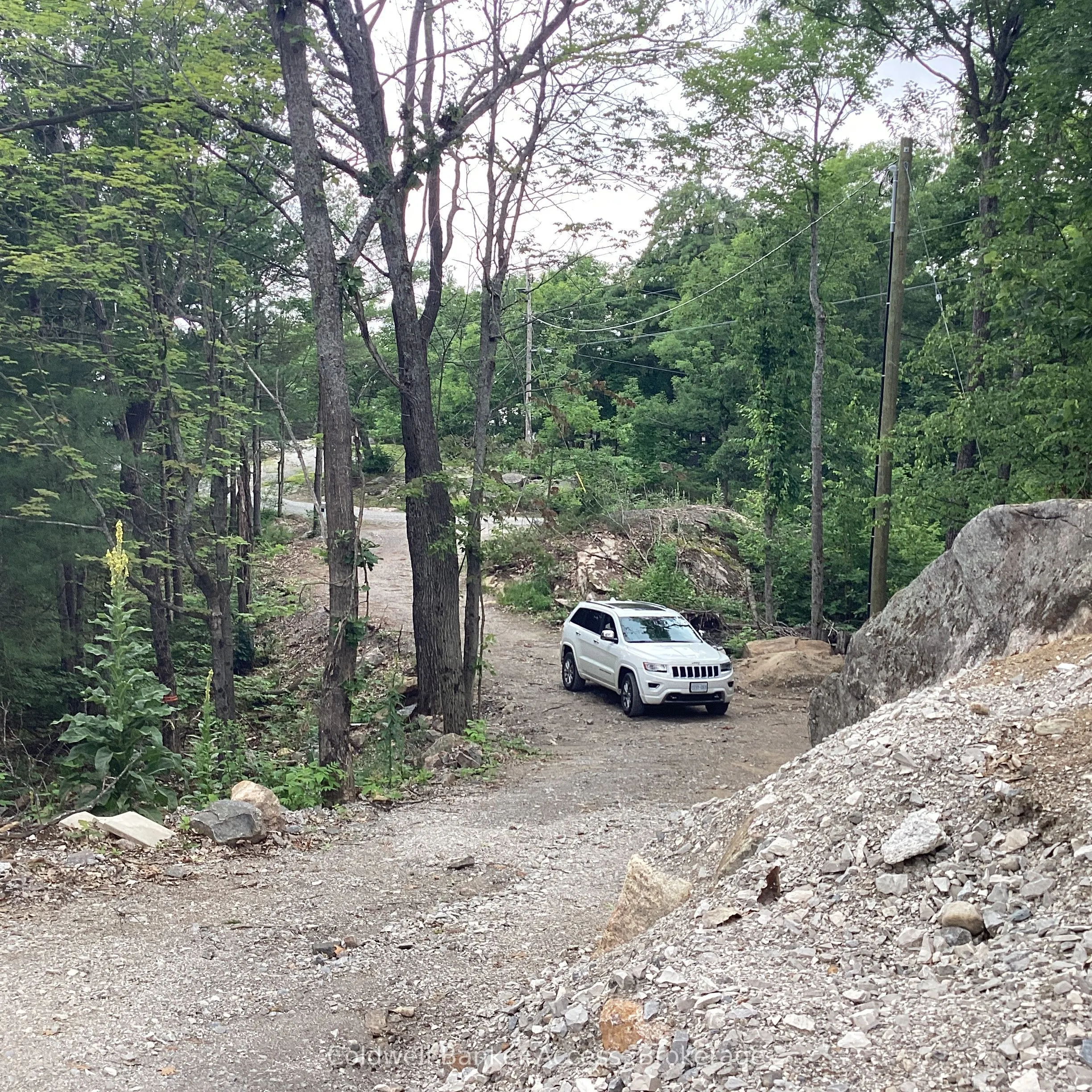 1029 Sunset Boulevard