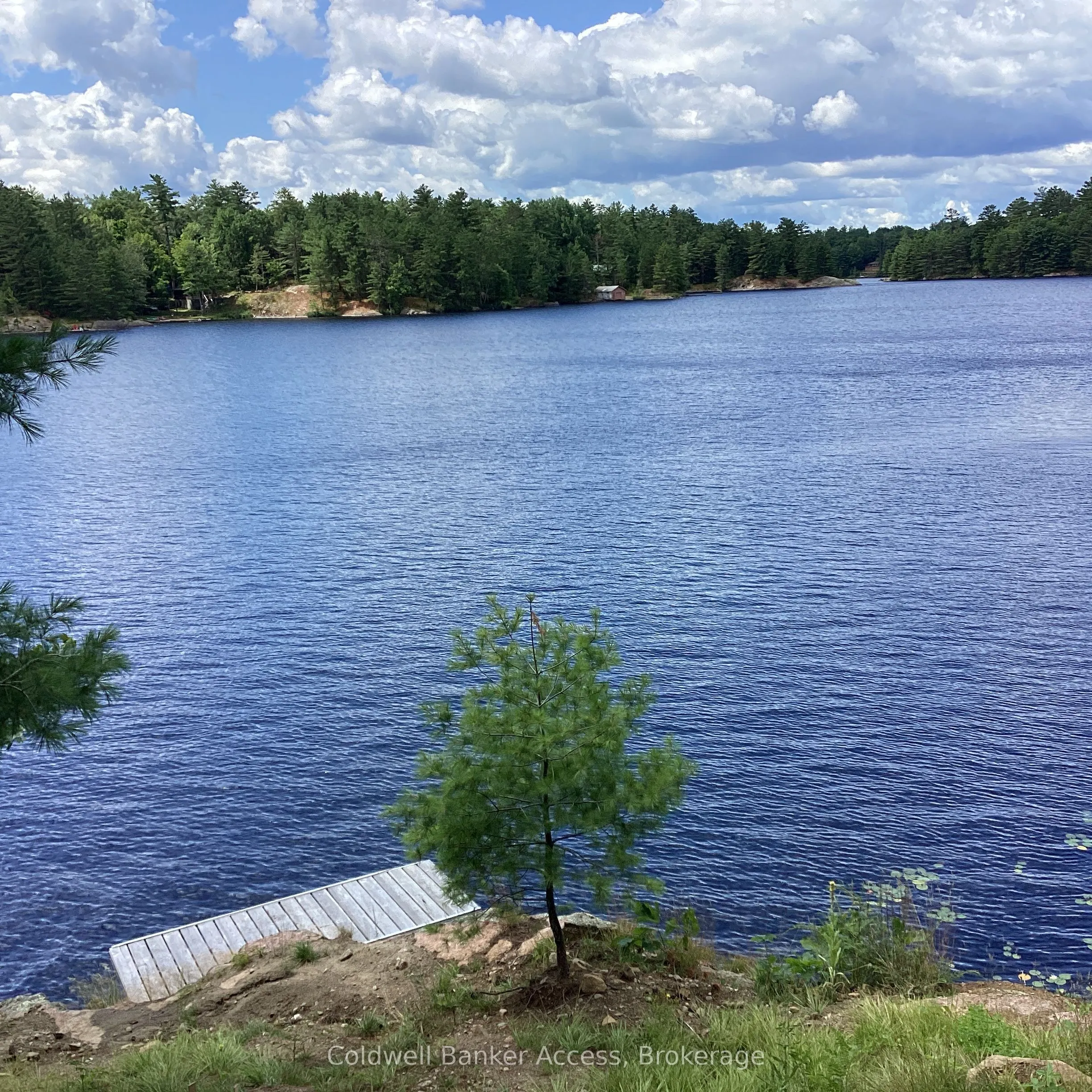 1029 Sunset Boulevard