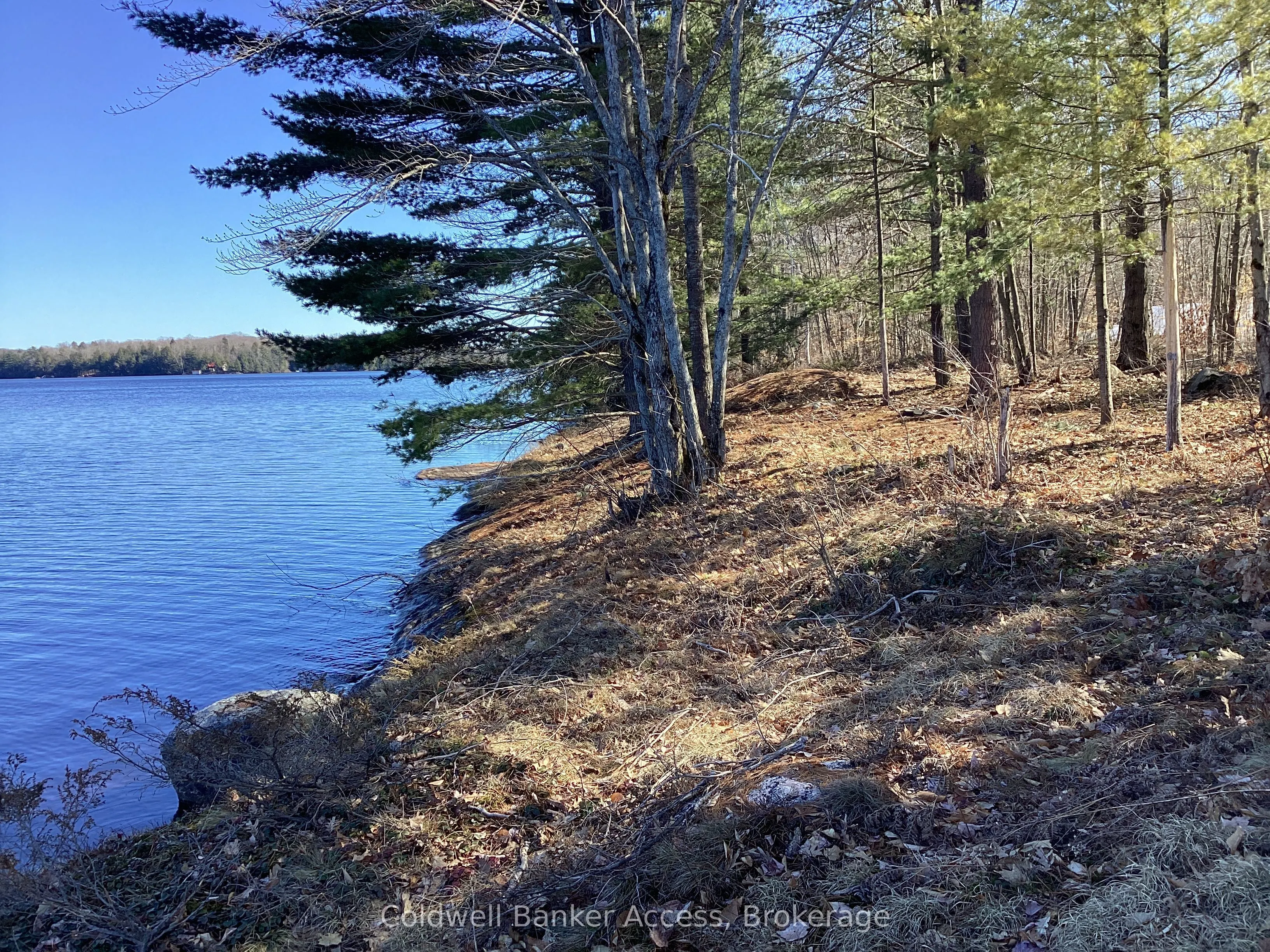 38 HAWKINS POINT Road