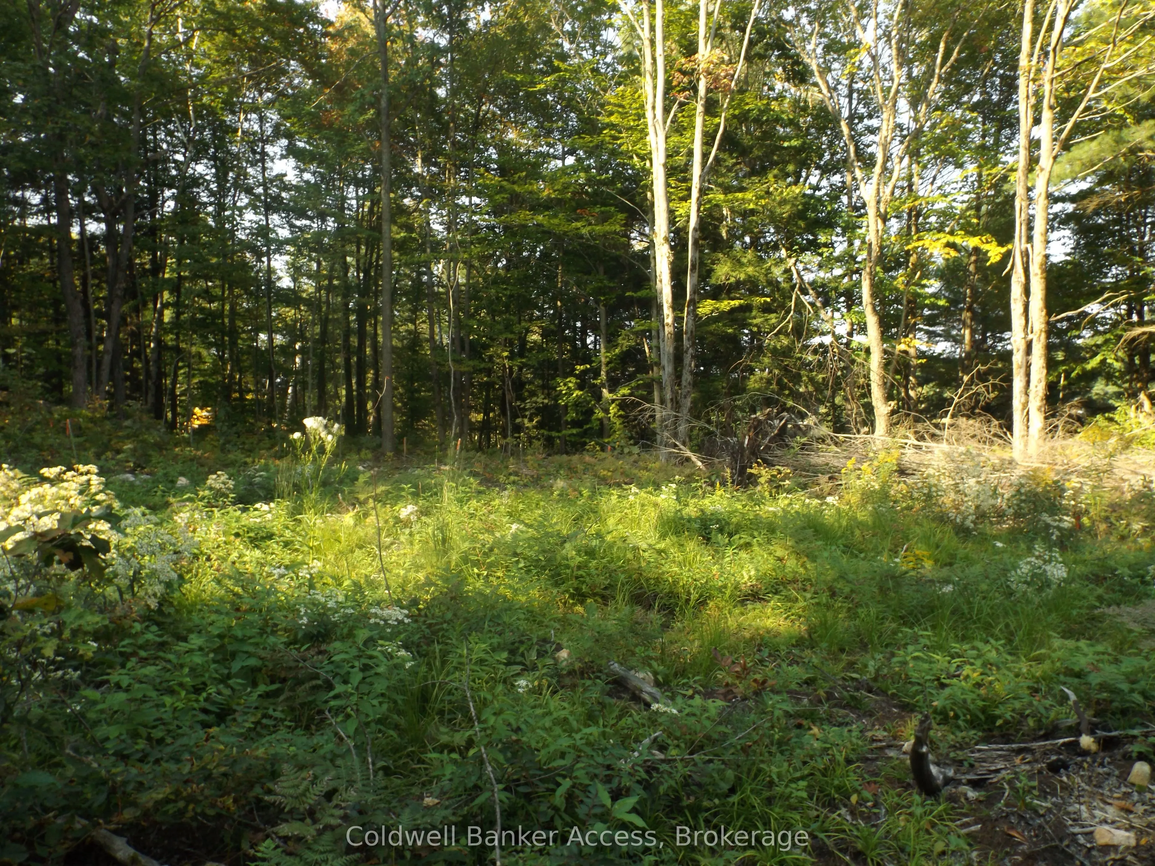 52 Hawkins Point Road