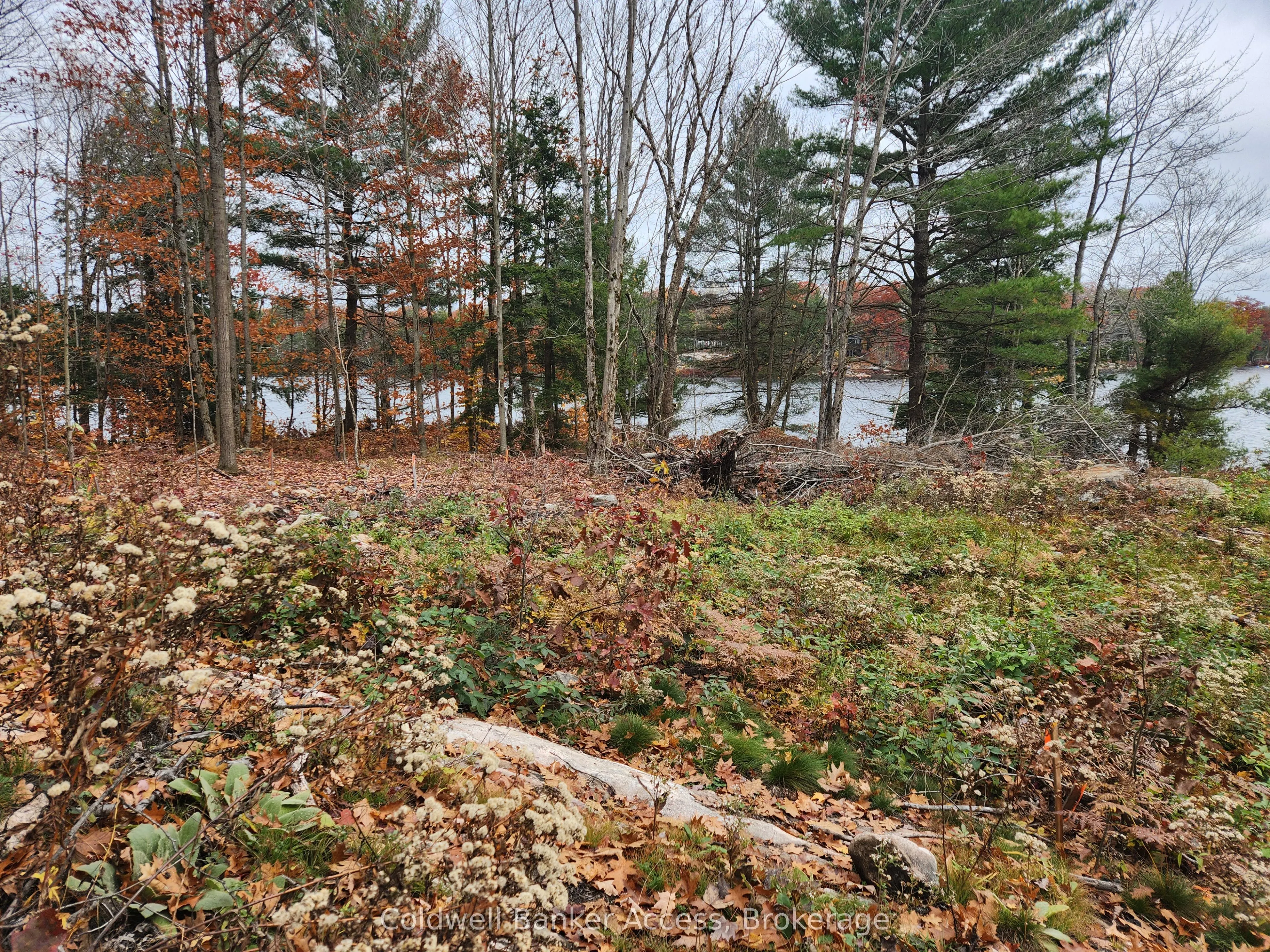 52 Hawkins Point Road