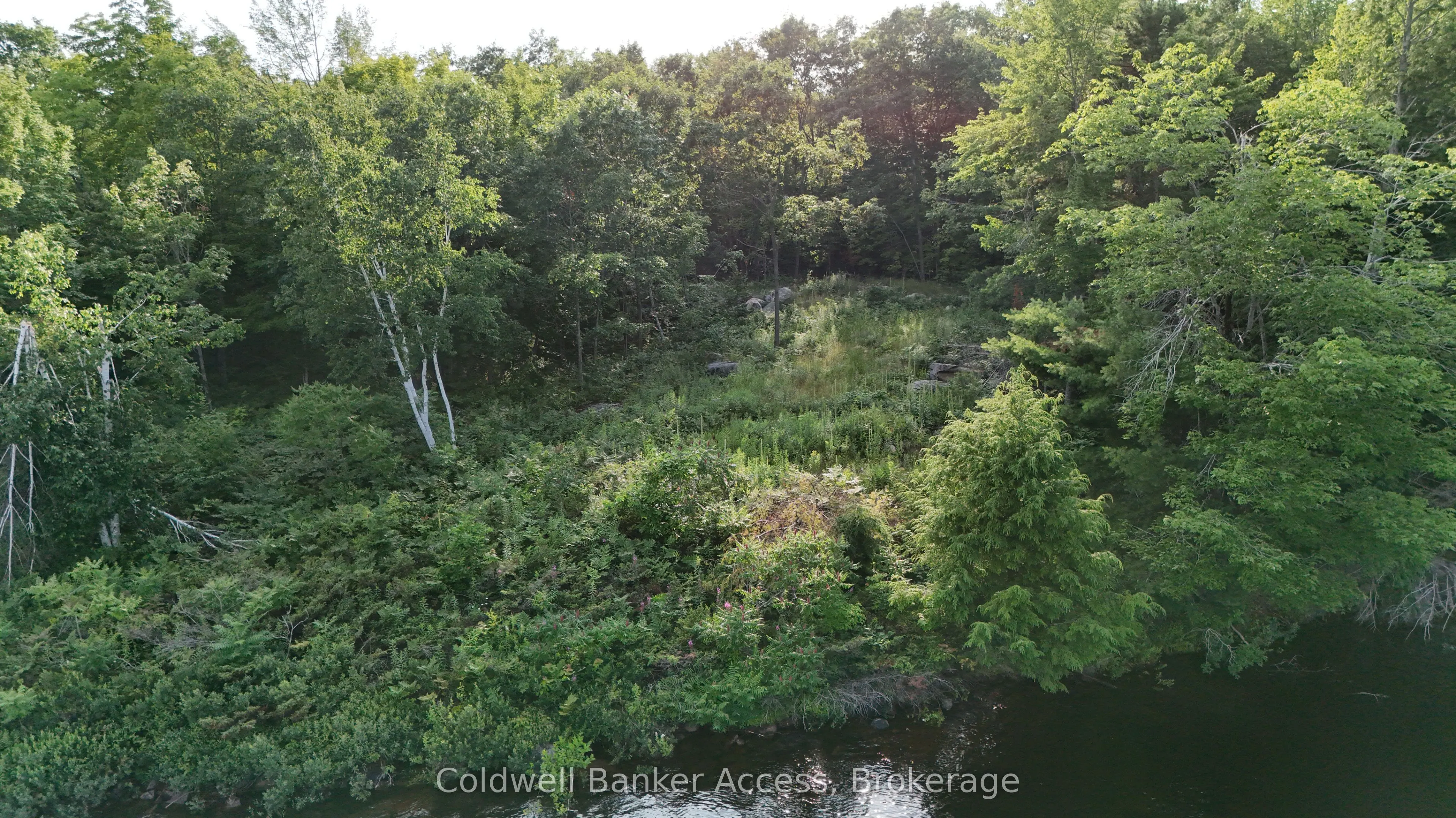 52 Hawkins Point Road