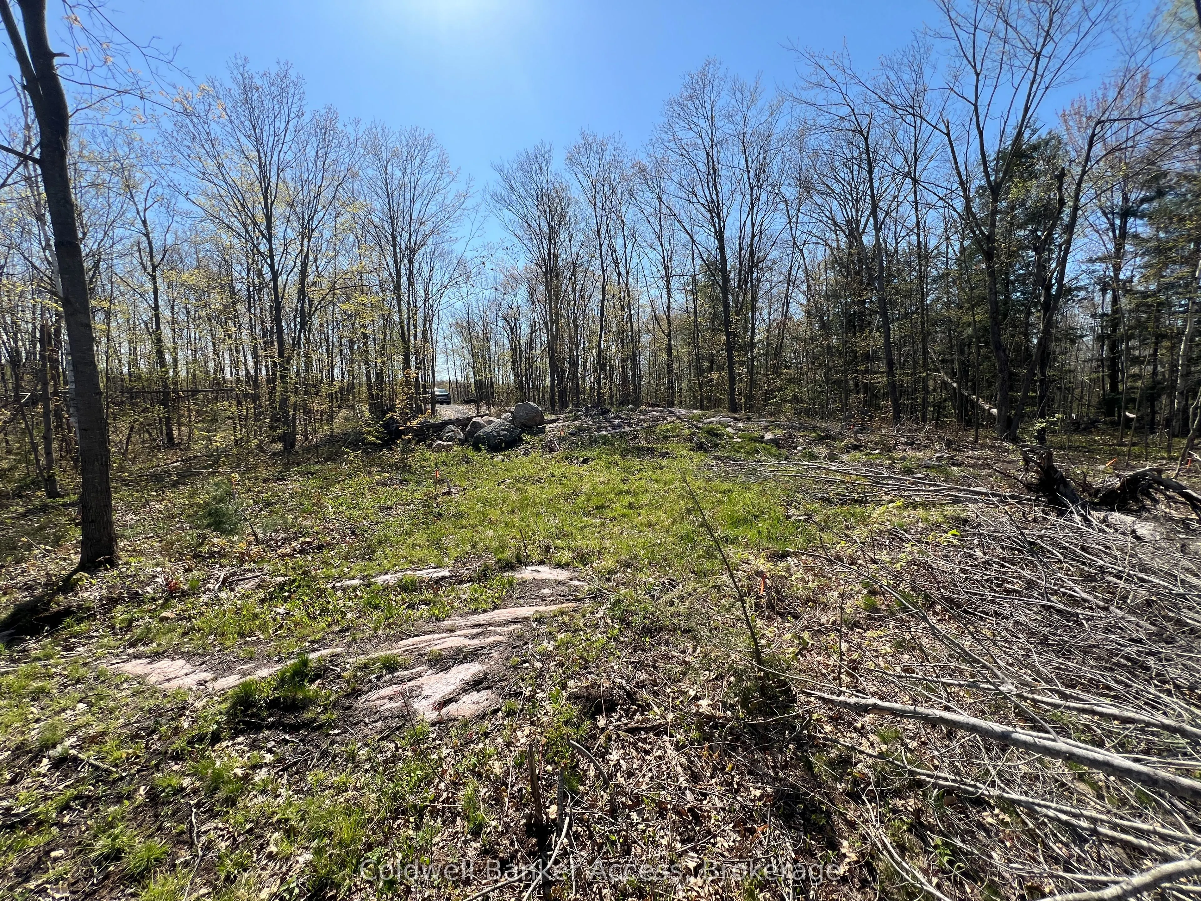 52 Hawkins Point Road