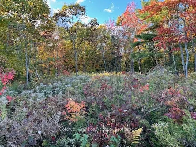 52 Hawkins Point Road