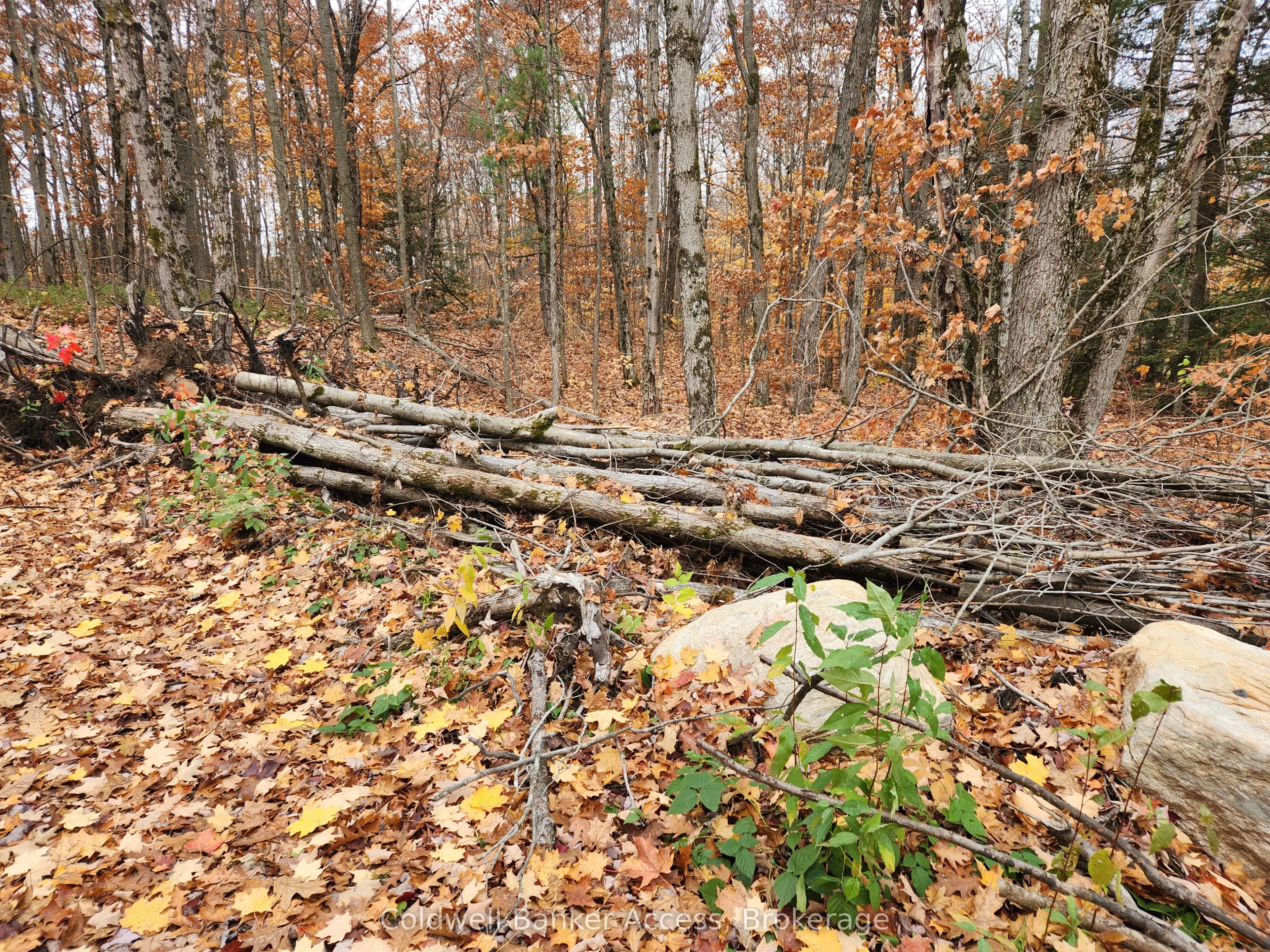 52 Hawkins Point Road