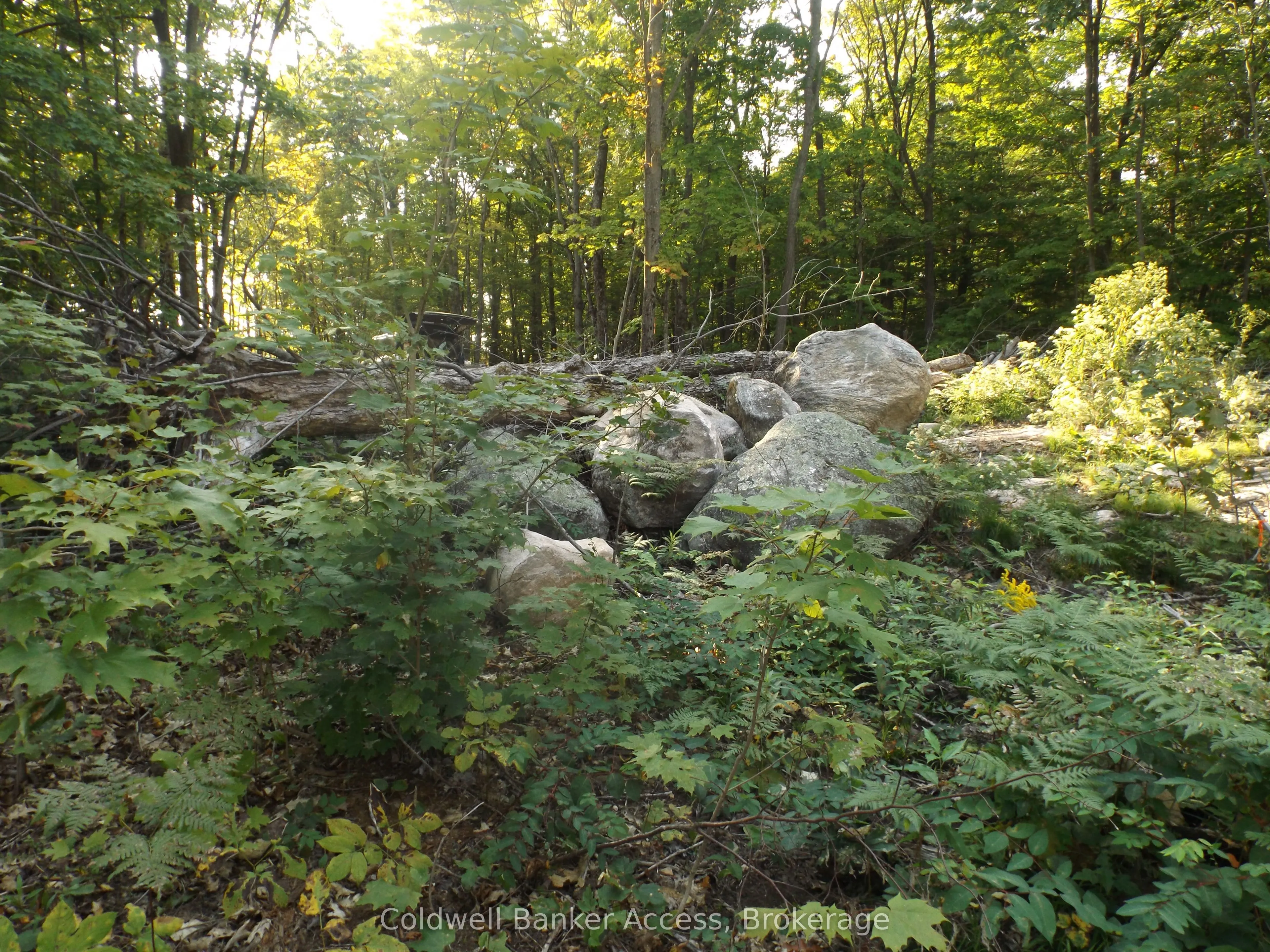 52 Hawkins Point Road