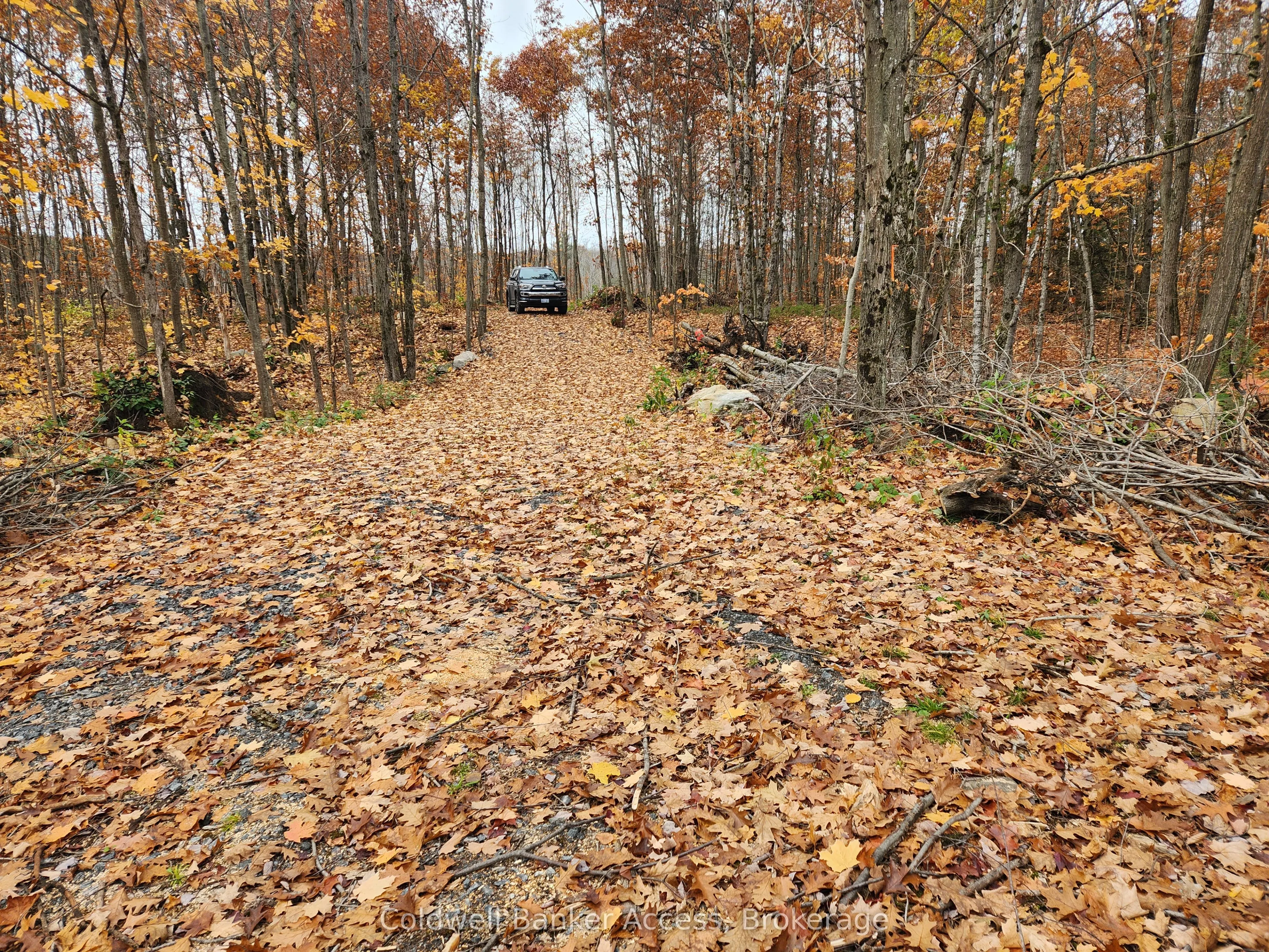 52 Hawkins Point Road