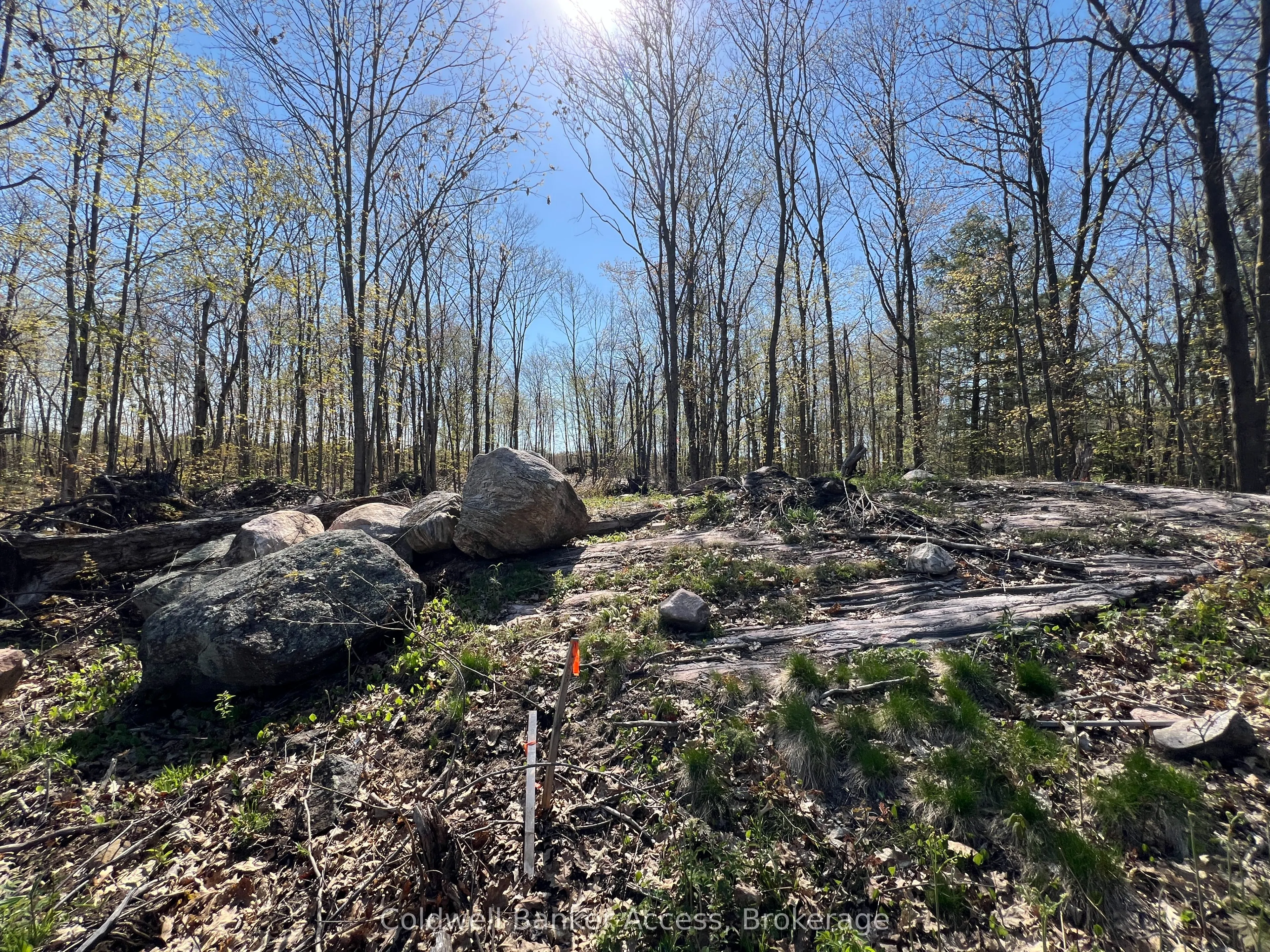 52 Hawkins Point Road