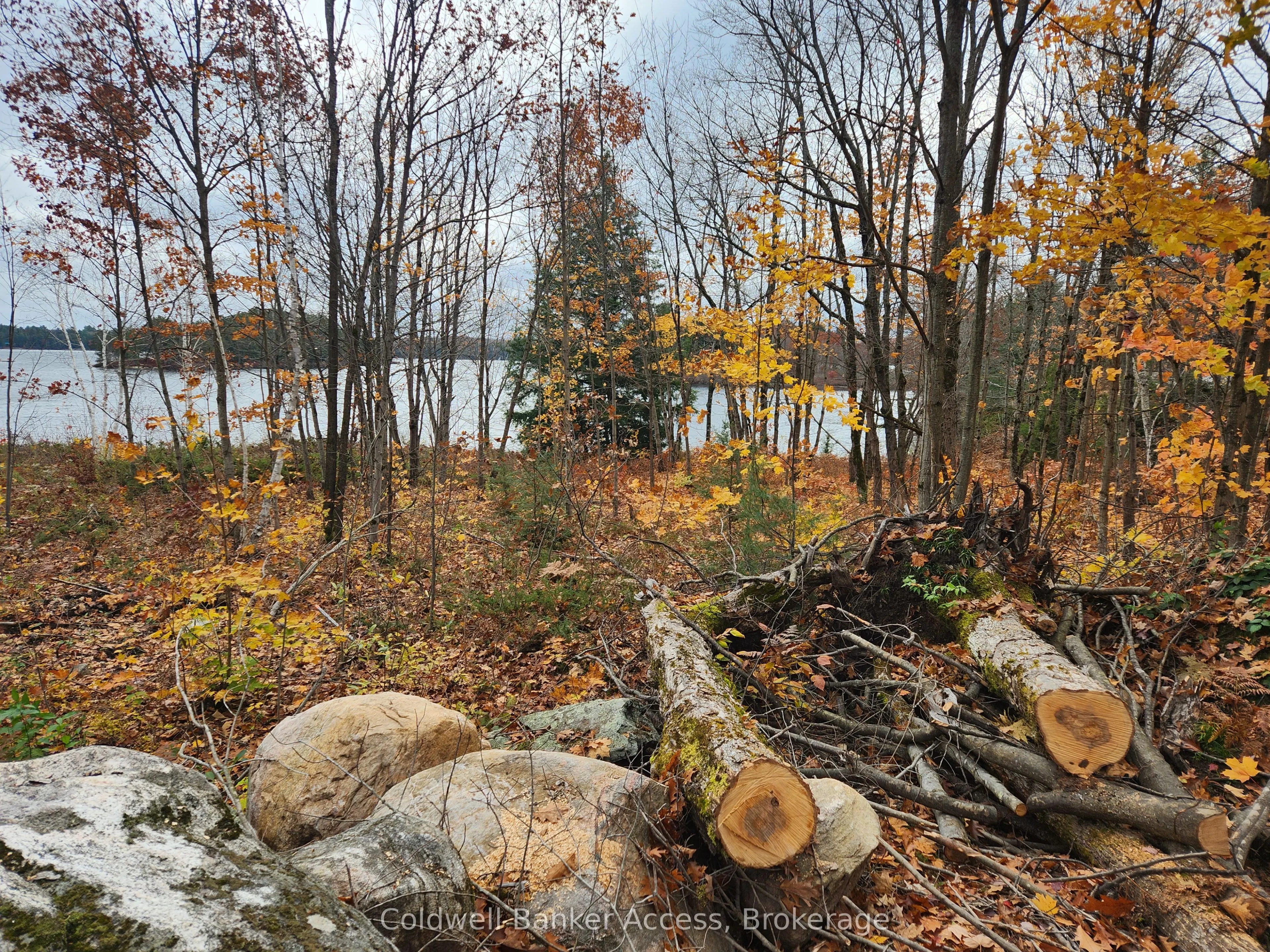 52 Hawkins Point Road