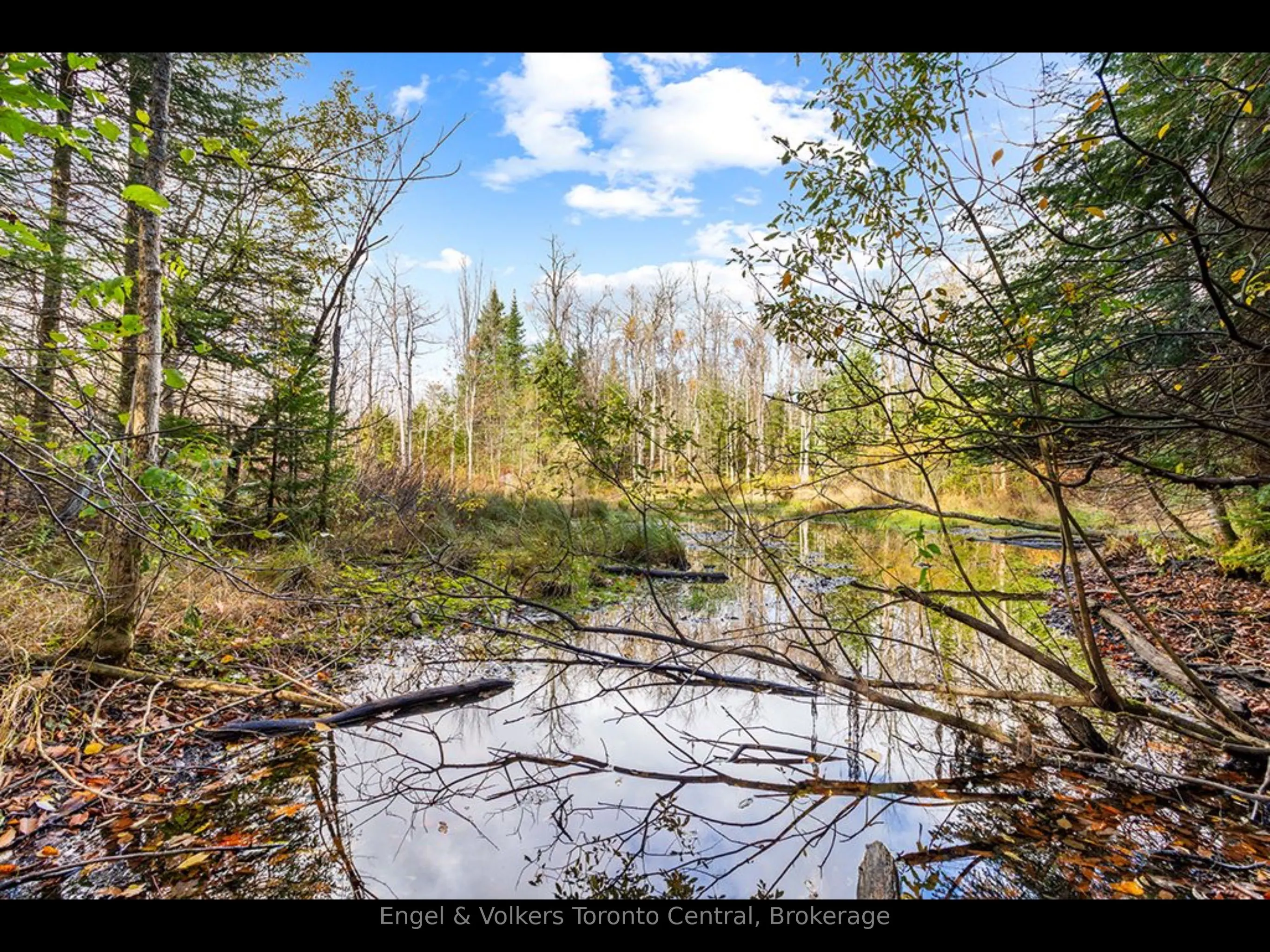 429560 8th B Concession