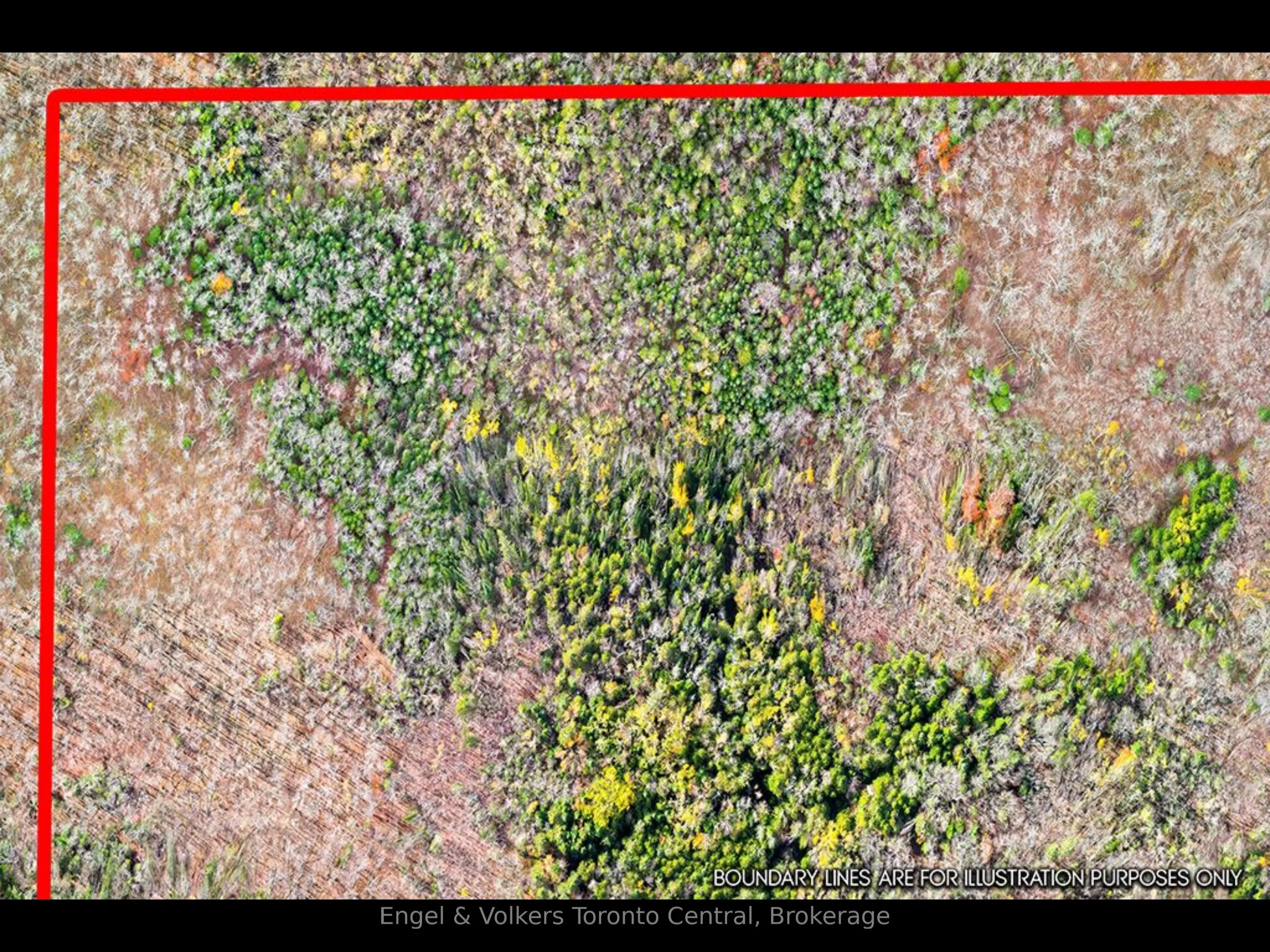 429560 8th B Concession