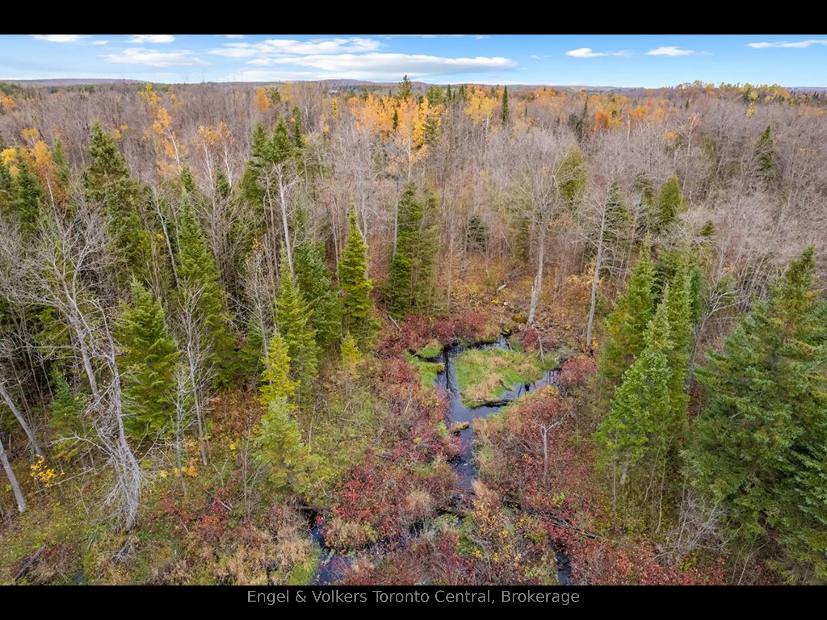 429560 8th B Concession