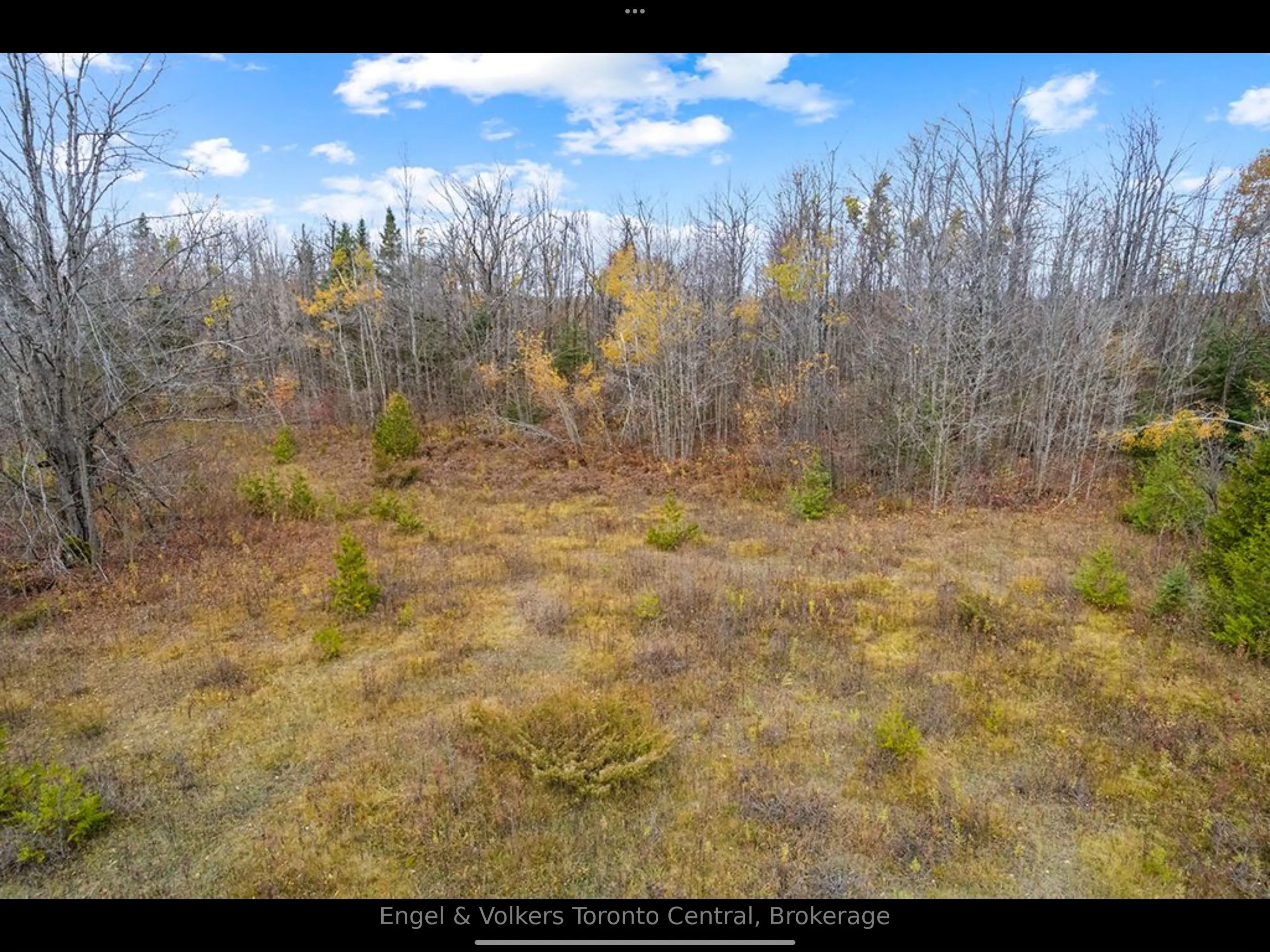 429560 8th B Concession