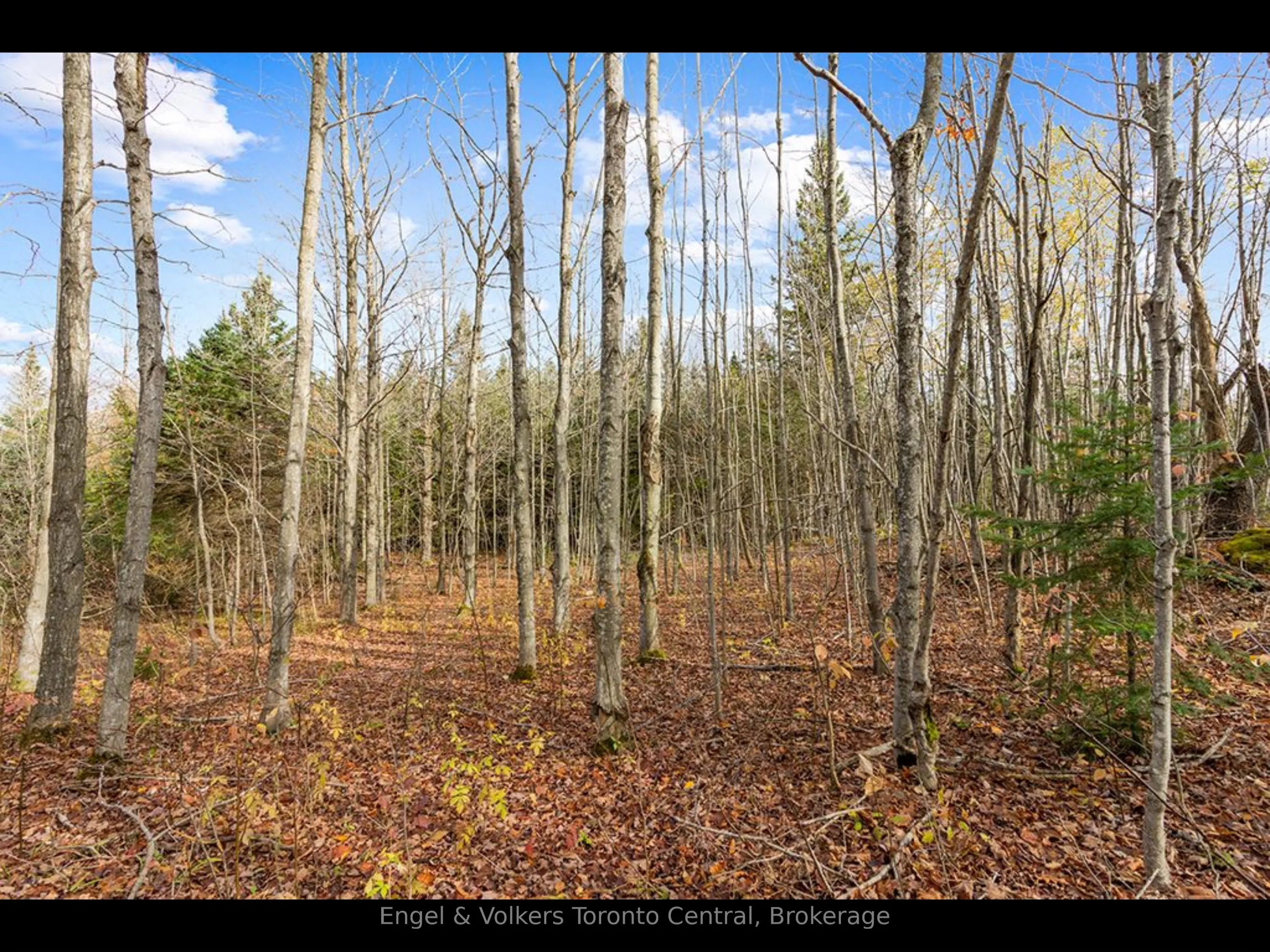 429560 8th B Concession