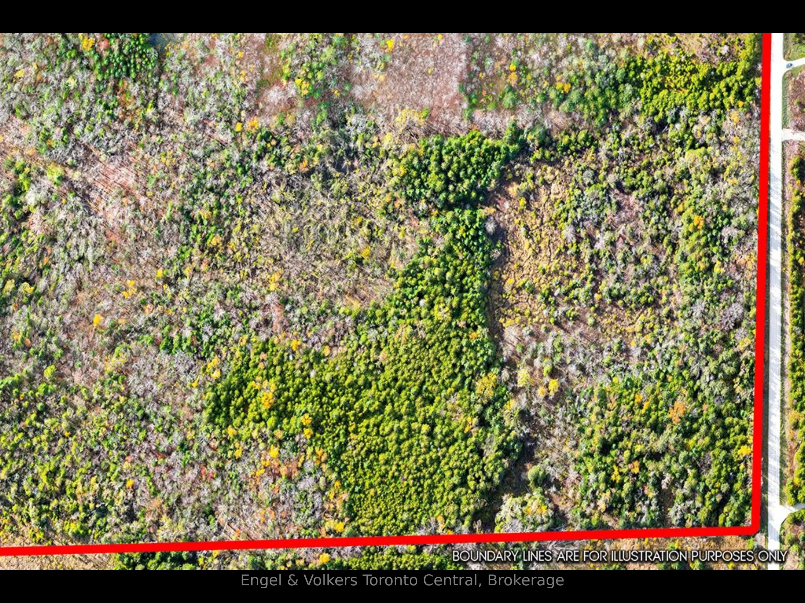 429560 8th B Concession