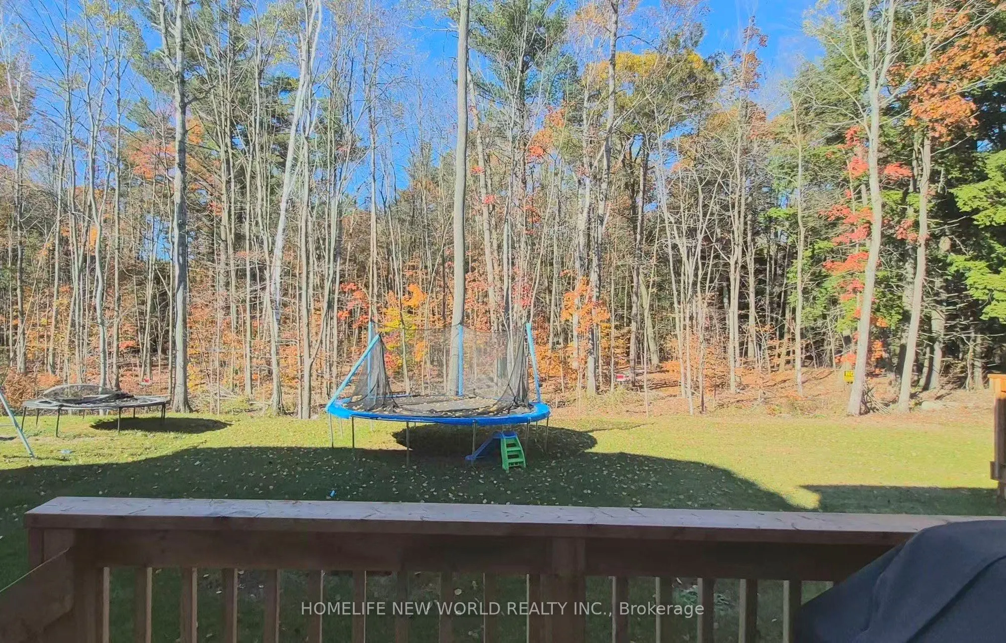 425 Beechwood Forest Lane