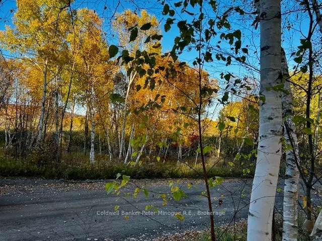 LOT 16 SEYMOUR Street