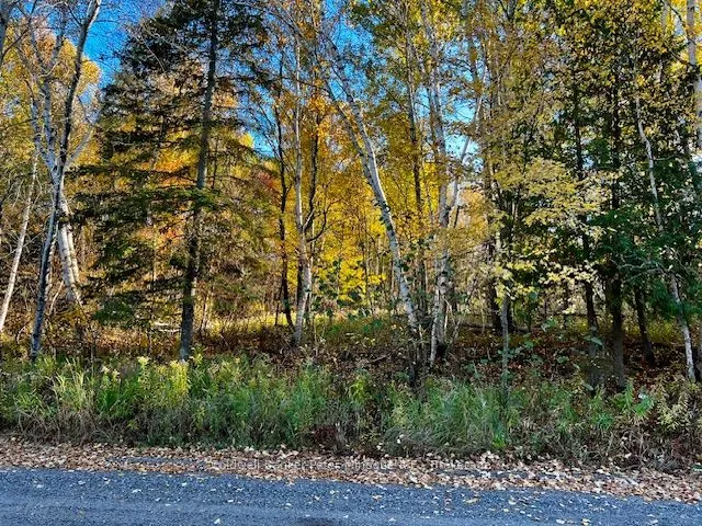 LOT 16 SEYMOUR Street