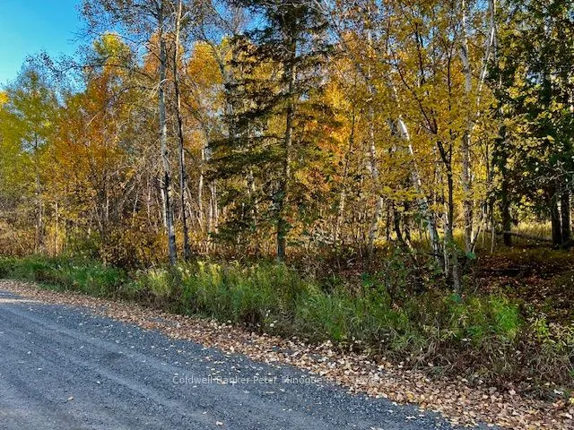 LOT 16 SEYMOUR Street