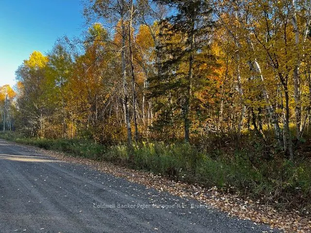 LOT 16 SEYMOUR Street