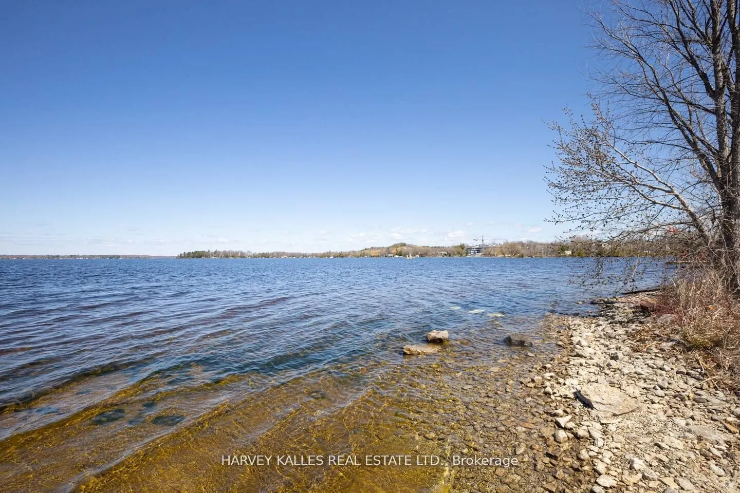 19B West Street, #205