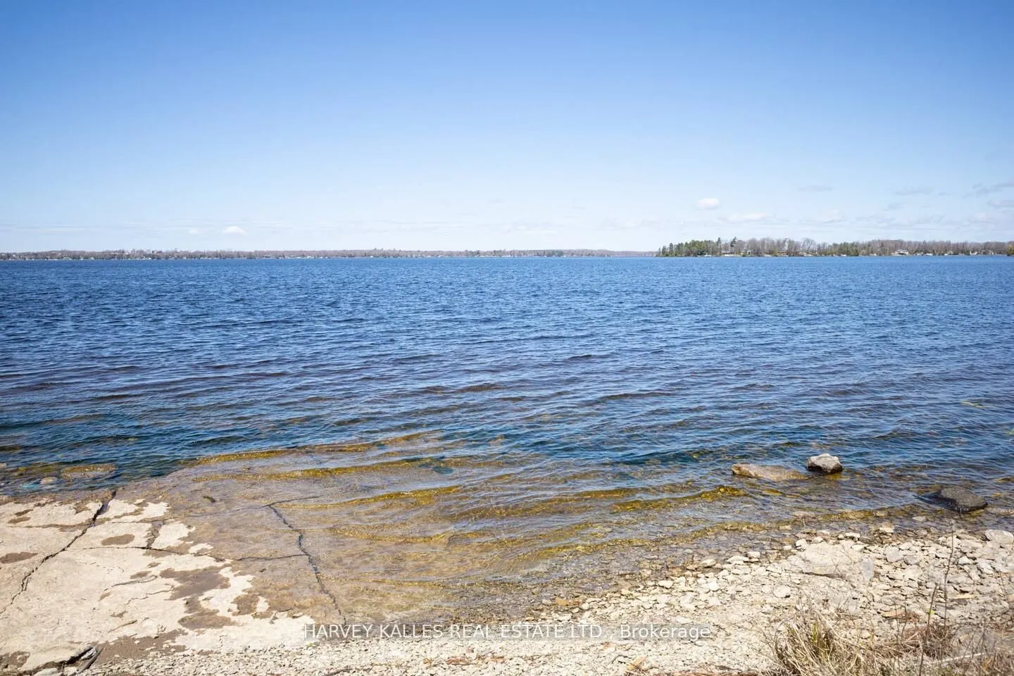 19B West Street, #205