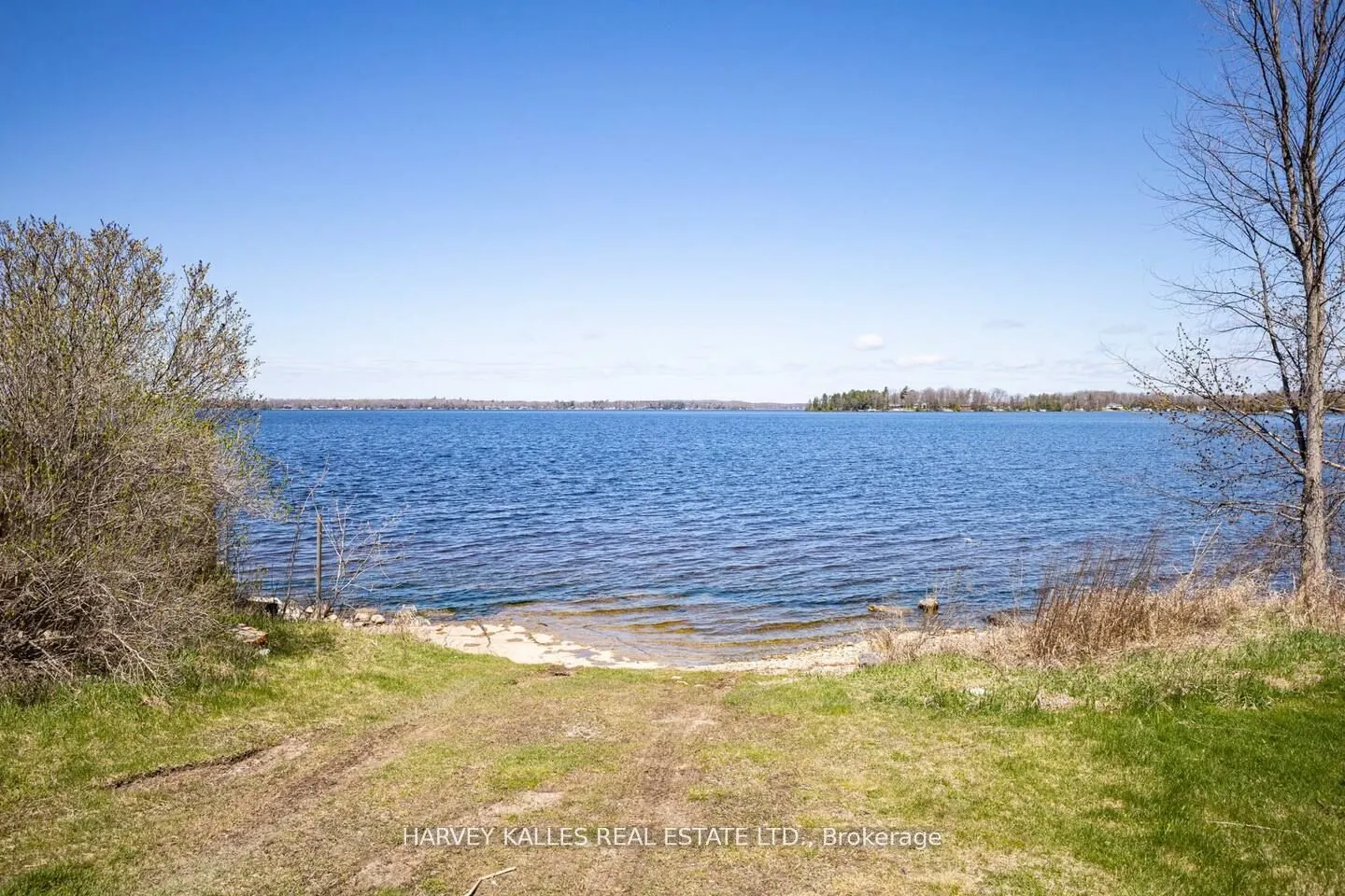 19B West Street, #205