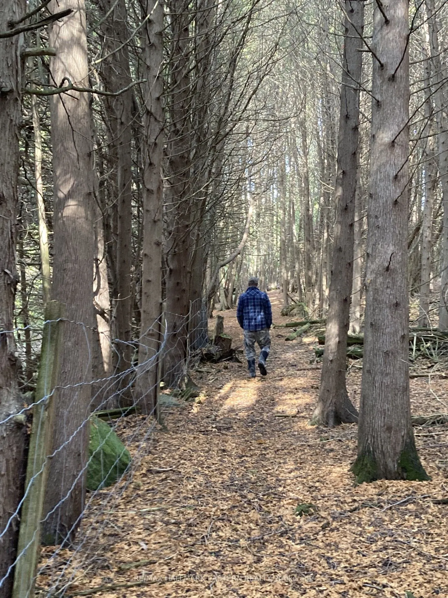 323 Orange Corners Road