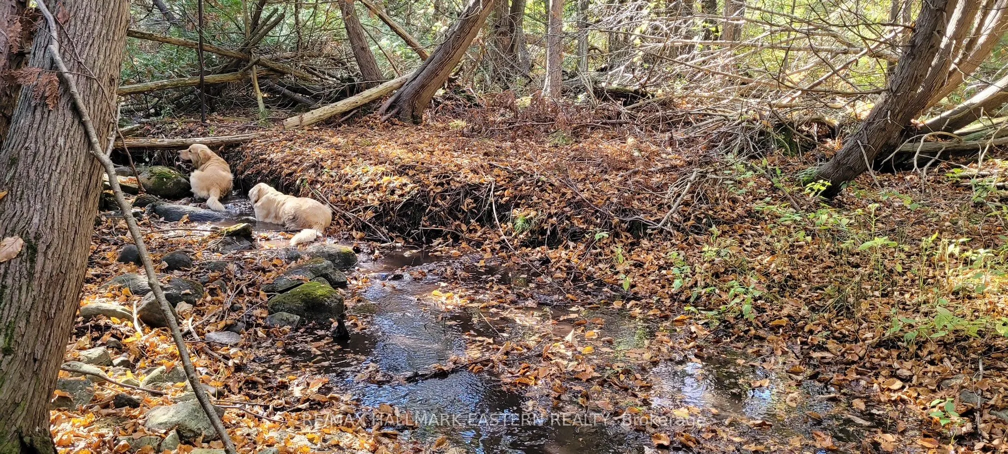 323 Orange Corners Road