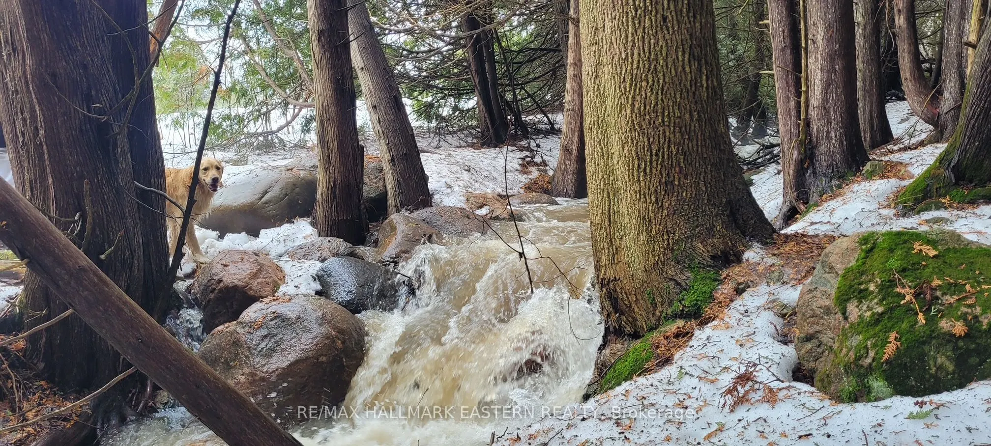 323 Orange Corners Road