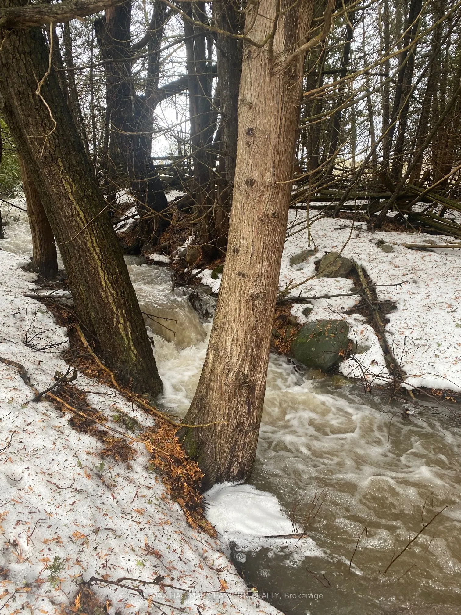 323 Orange Corners Road