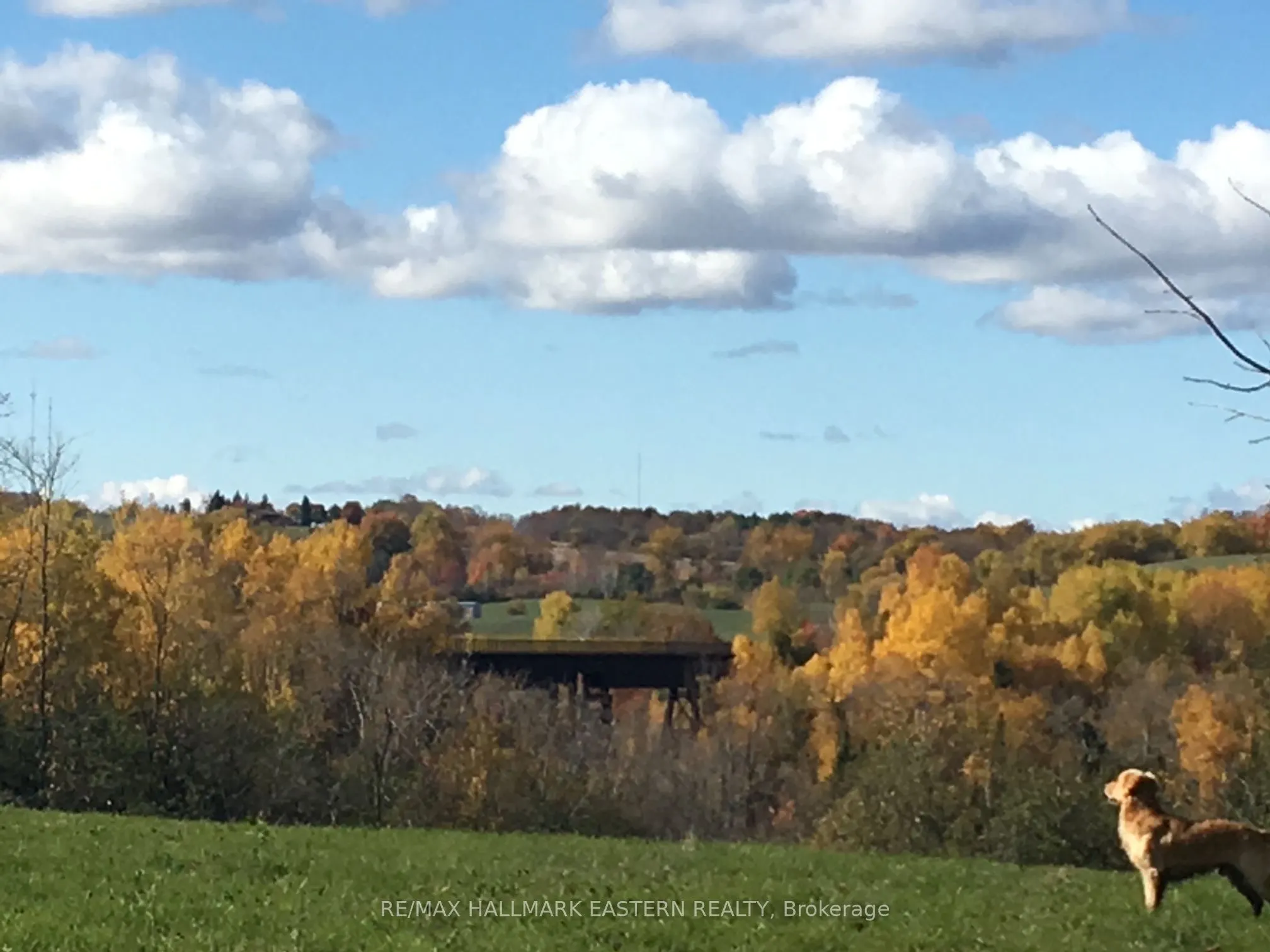 323 Orange Corners Road