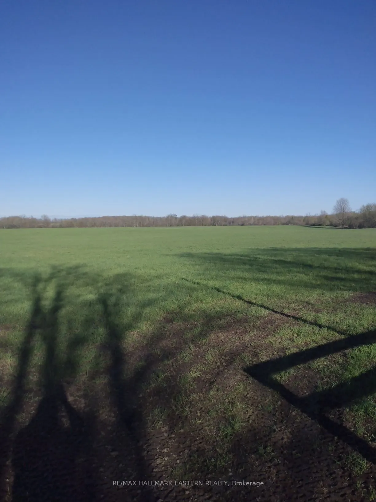 323 Orange Corners Road