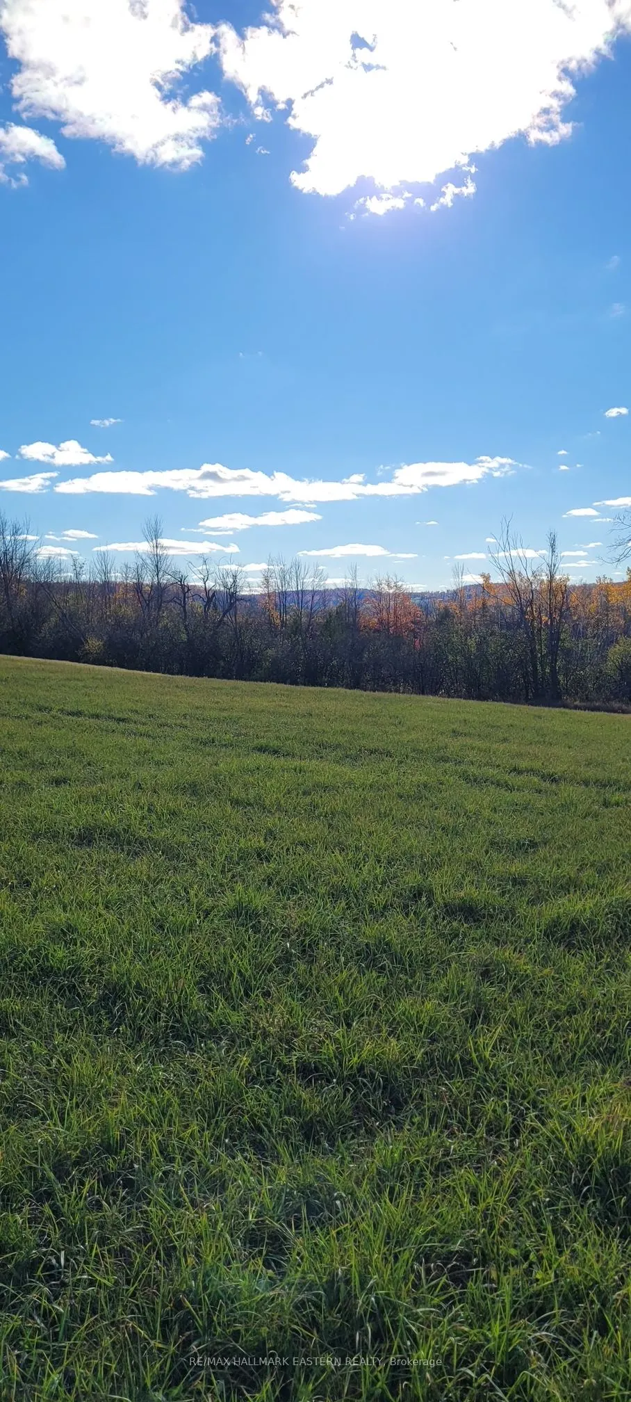 323 Orange Corners Road