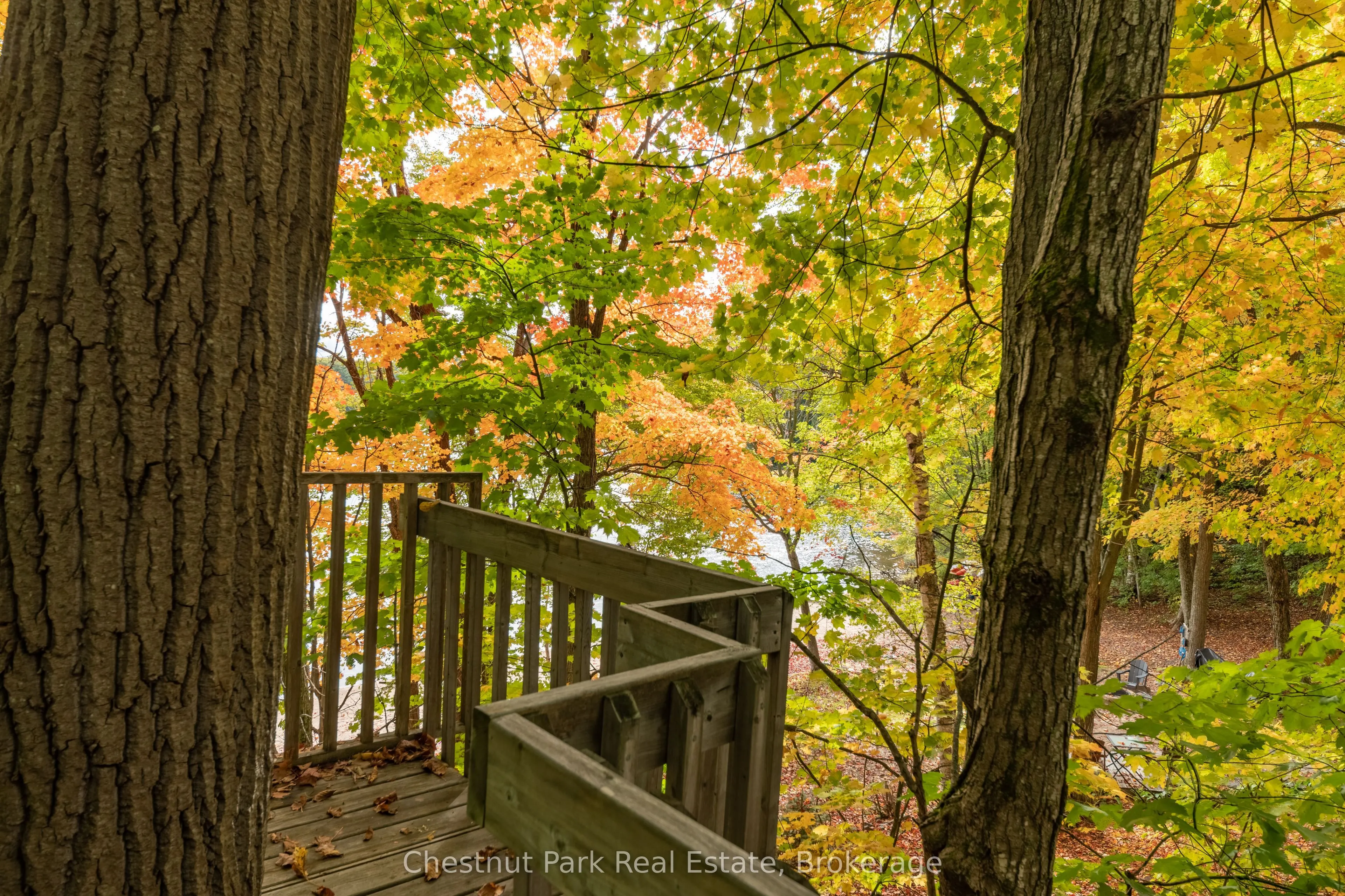 305 Salmon Lake Road