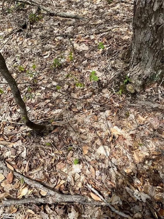 Lot 133 Brennan Circle