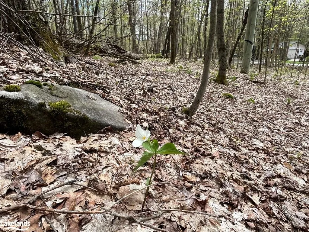 Lot 133 Brennan Circle